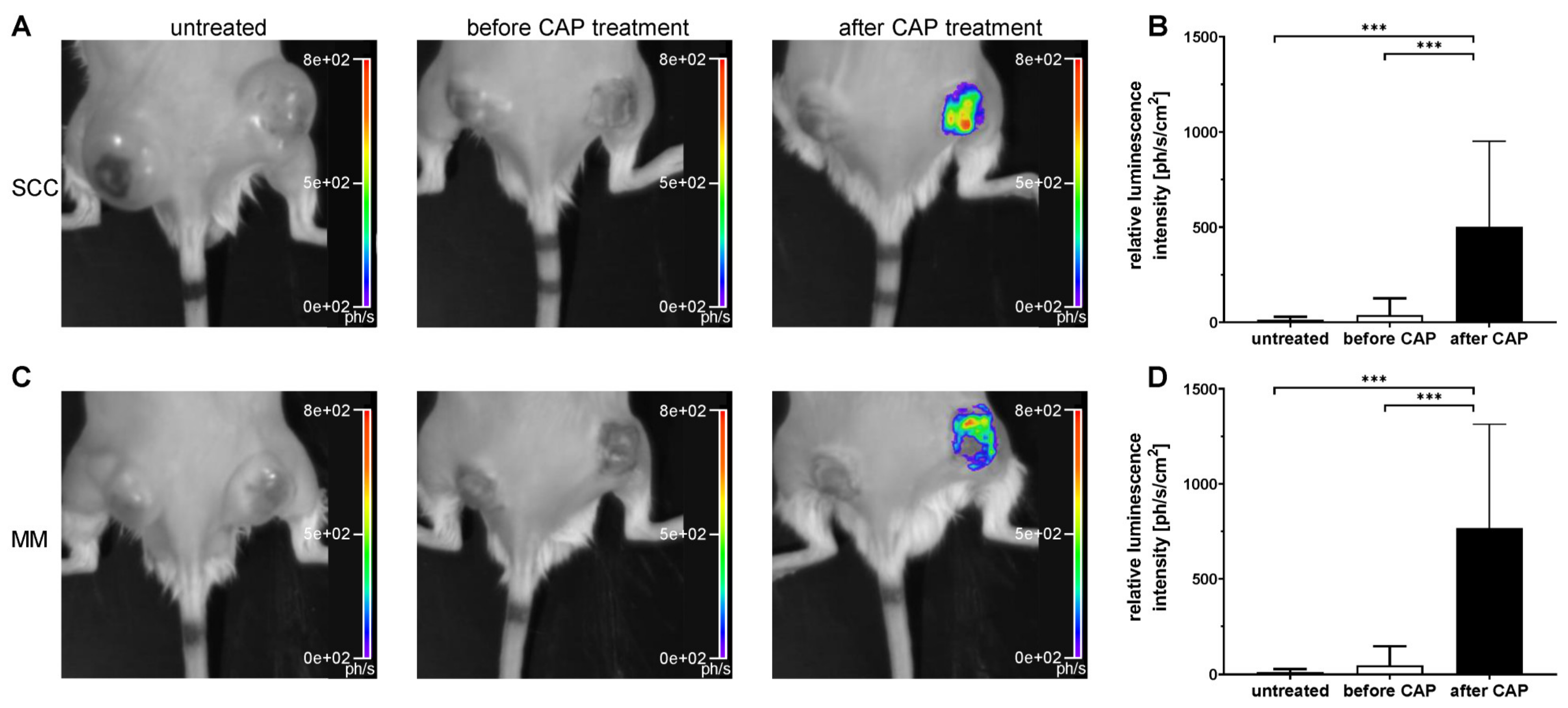 Cancers 13 02483 g004