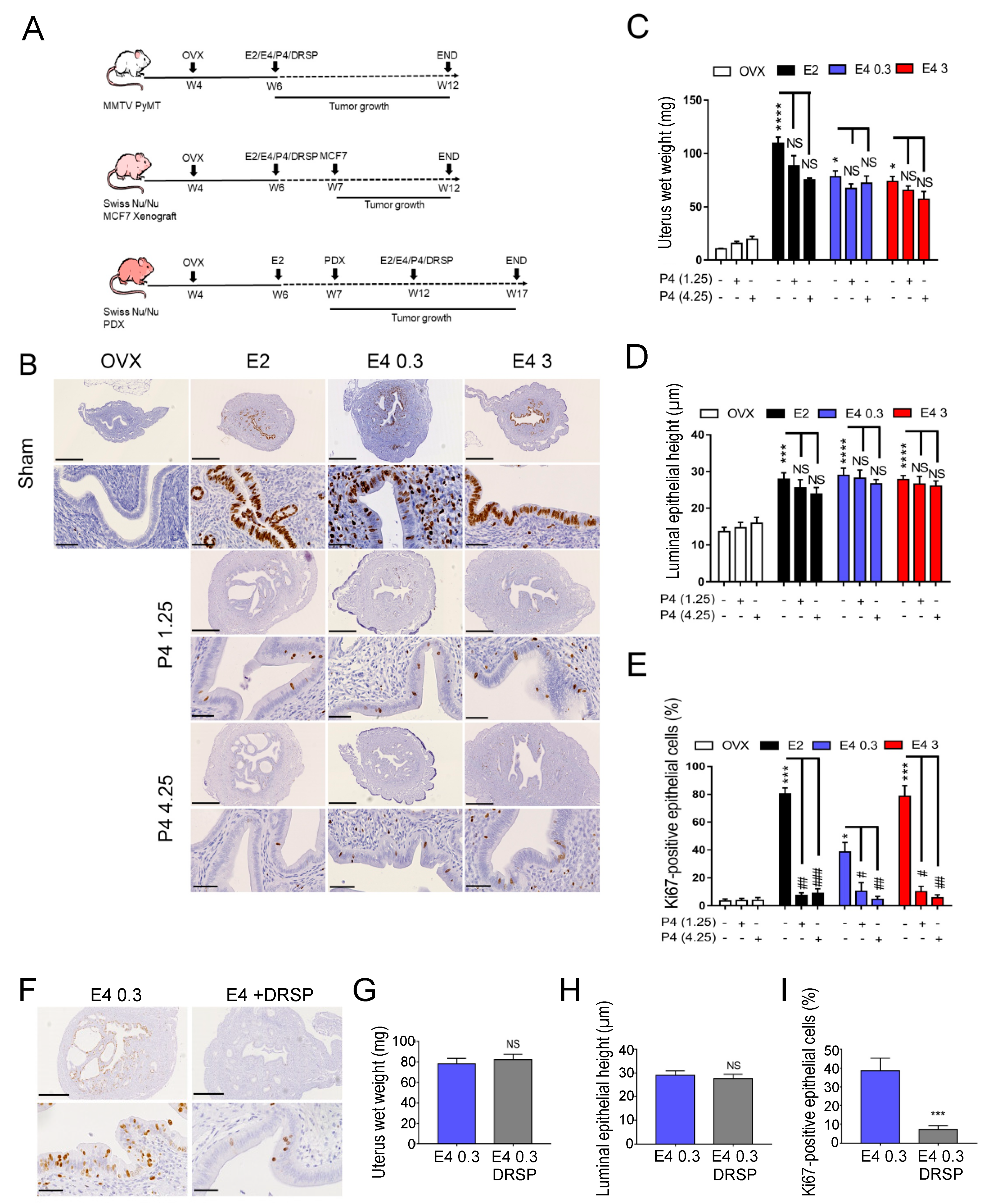 Cancers 13 02486 g001
