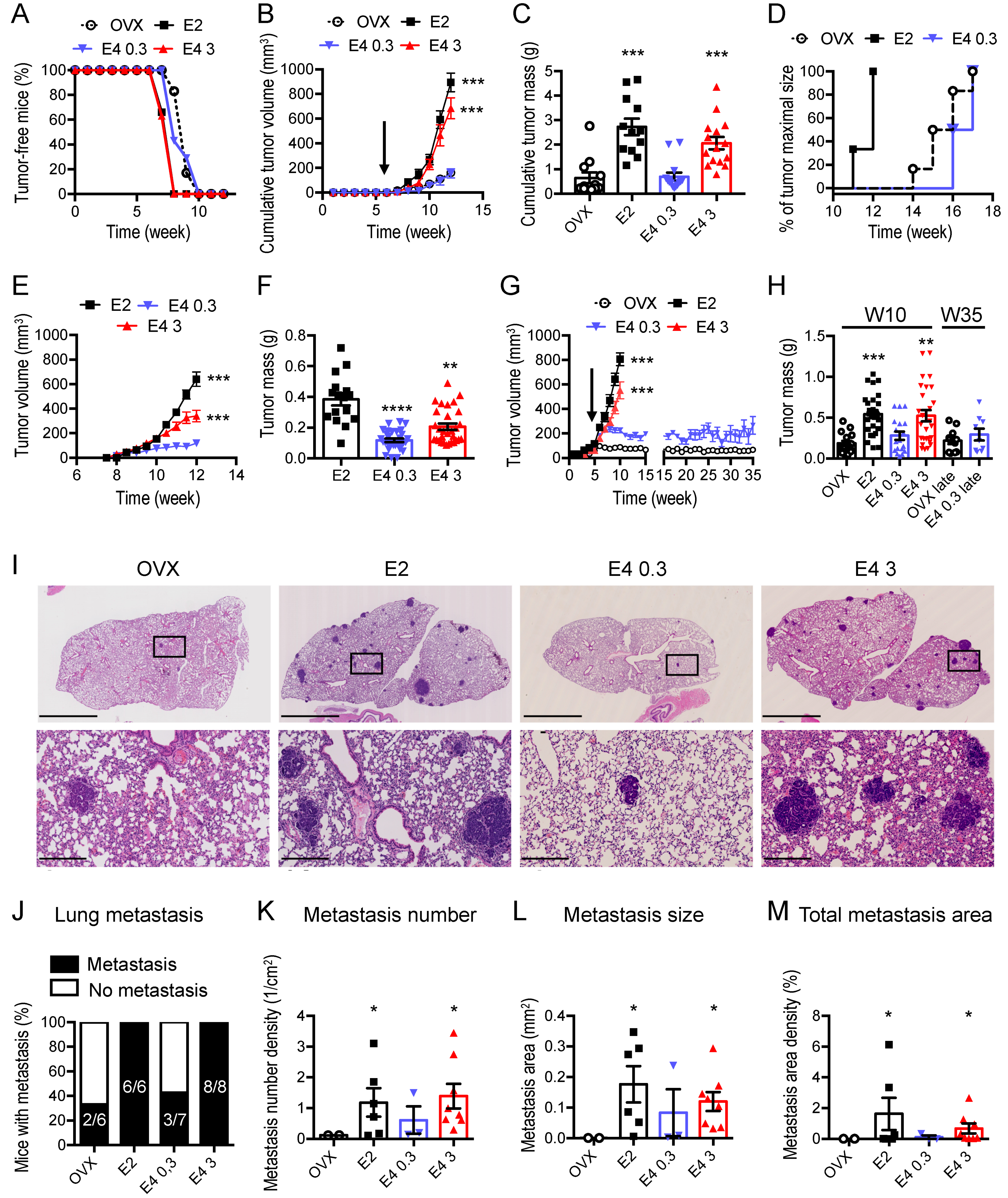 Cancers 13 02486 g002