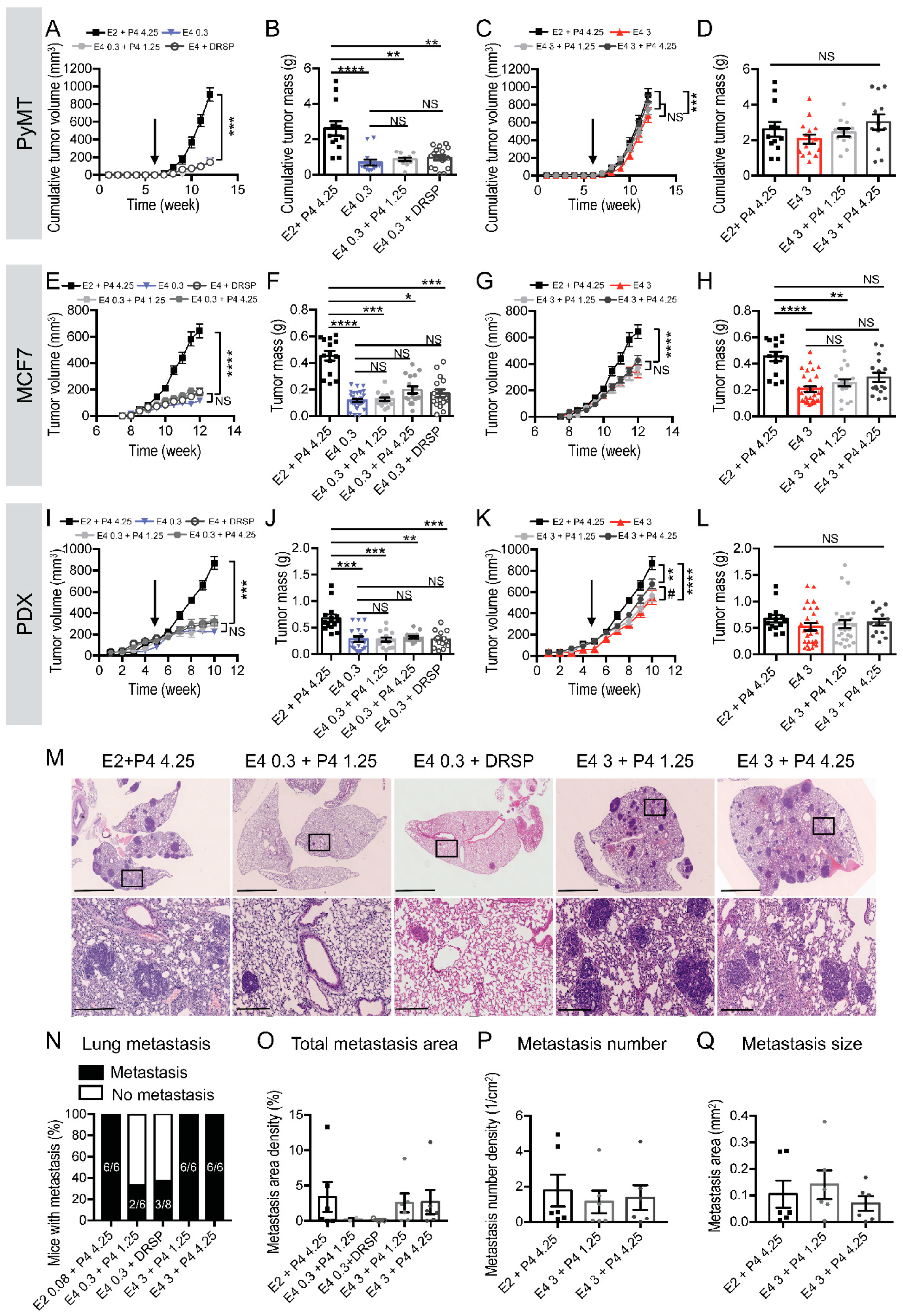 Cancers 13 02486 g003