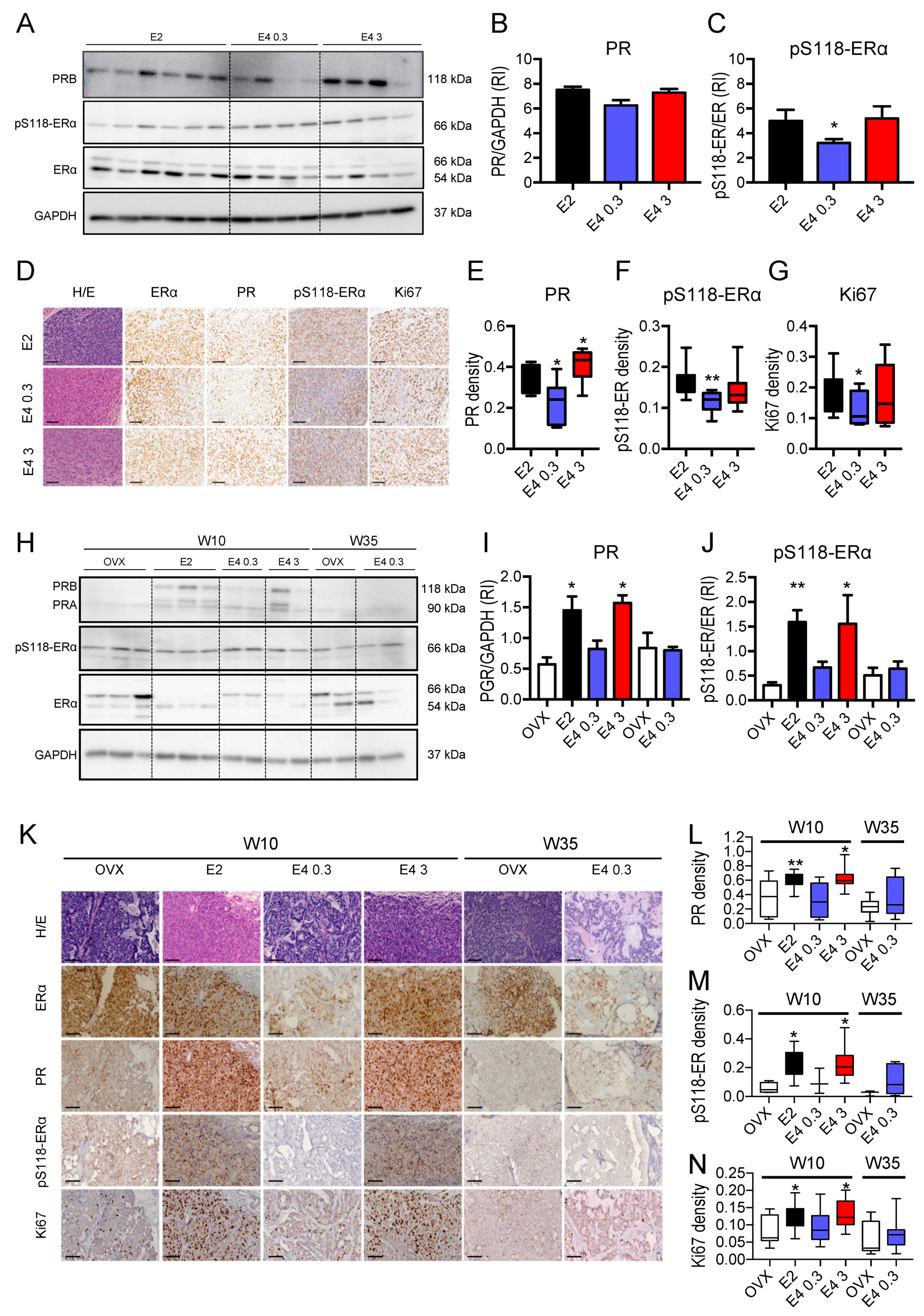 Cancers 13 02486 g005