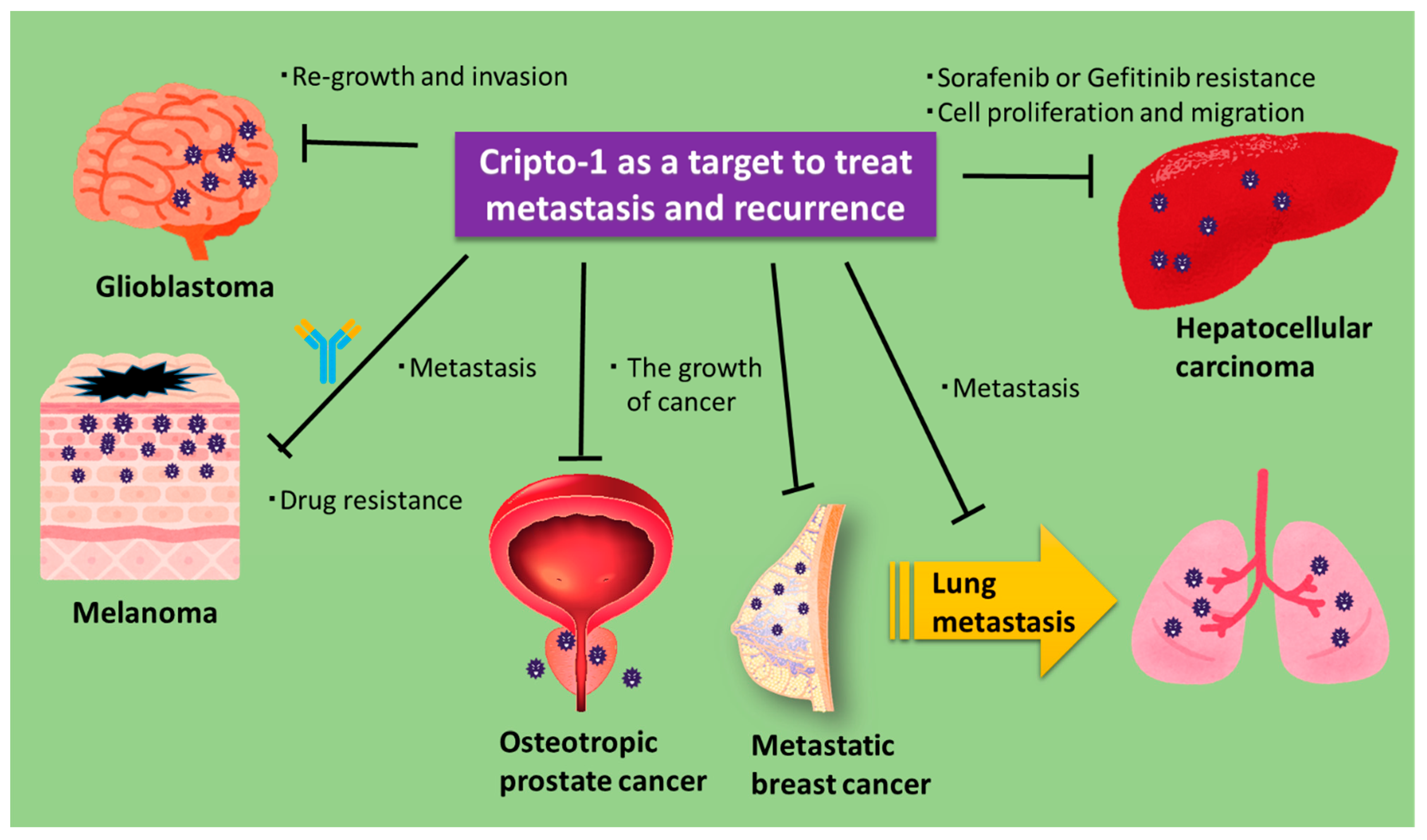 Cancers 13 02491 g003