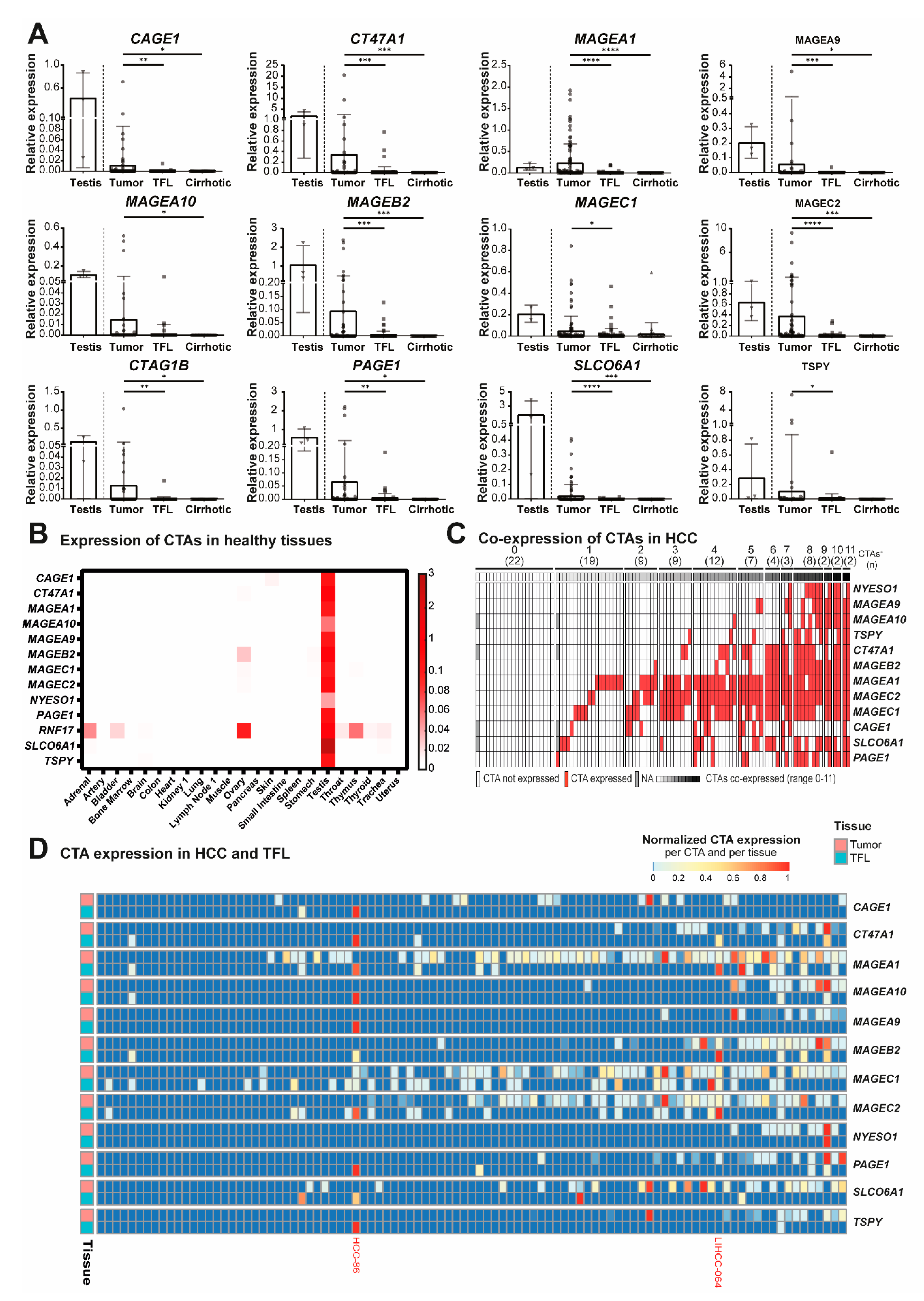 Cancers 13 02499 g002 Cancers 13 02499 g002