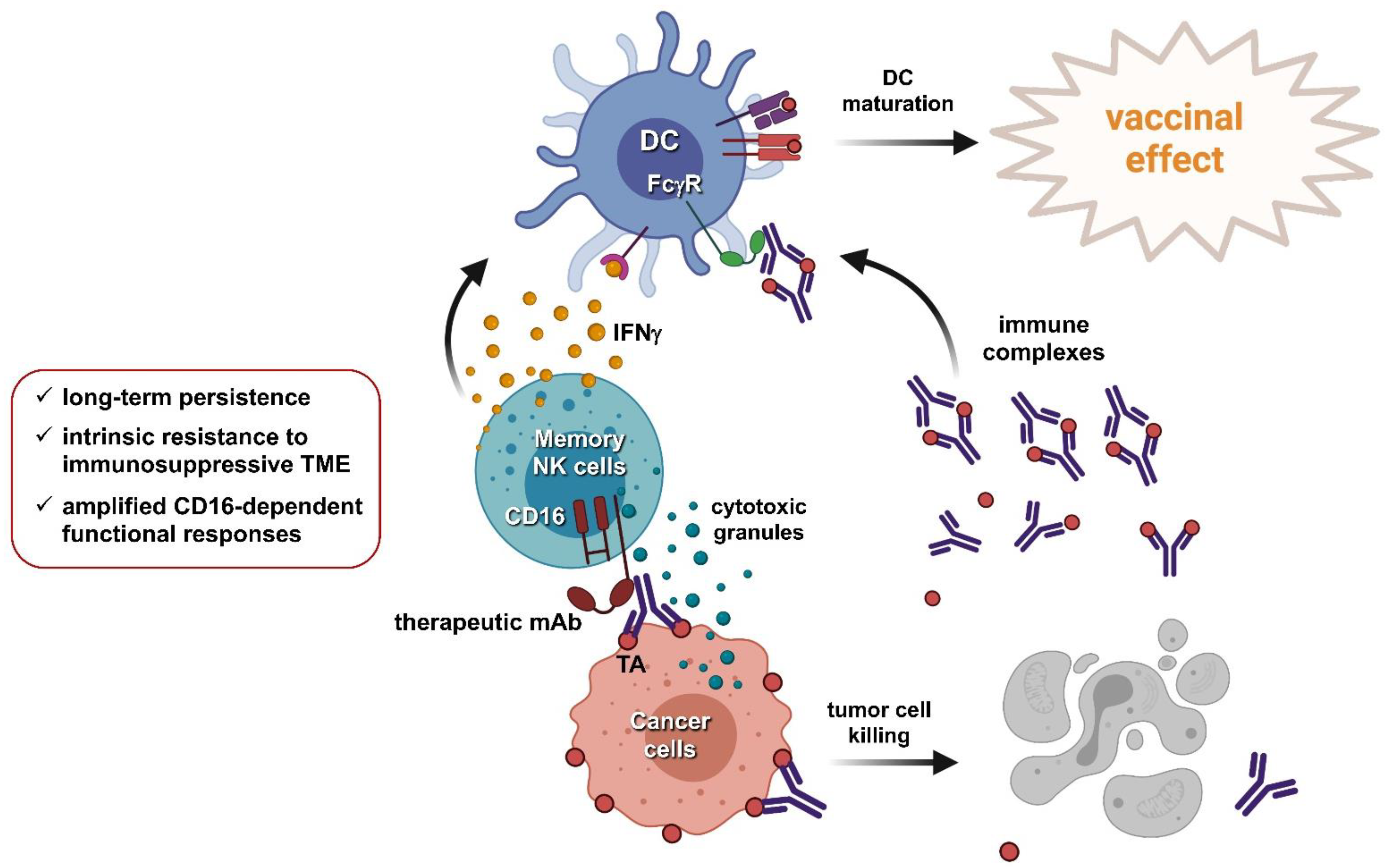 Cancers 13 02500 g002