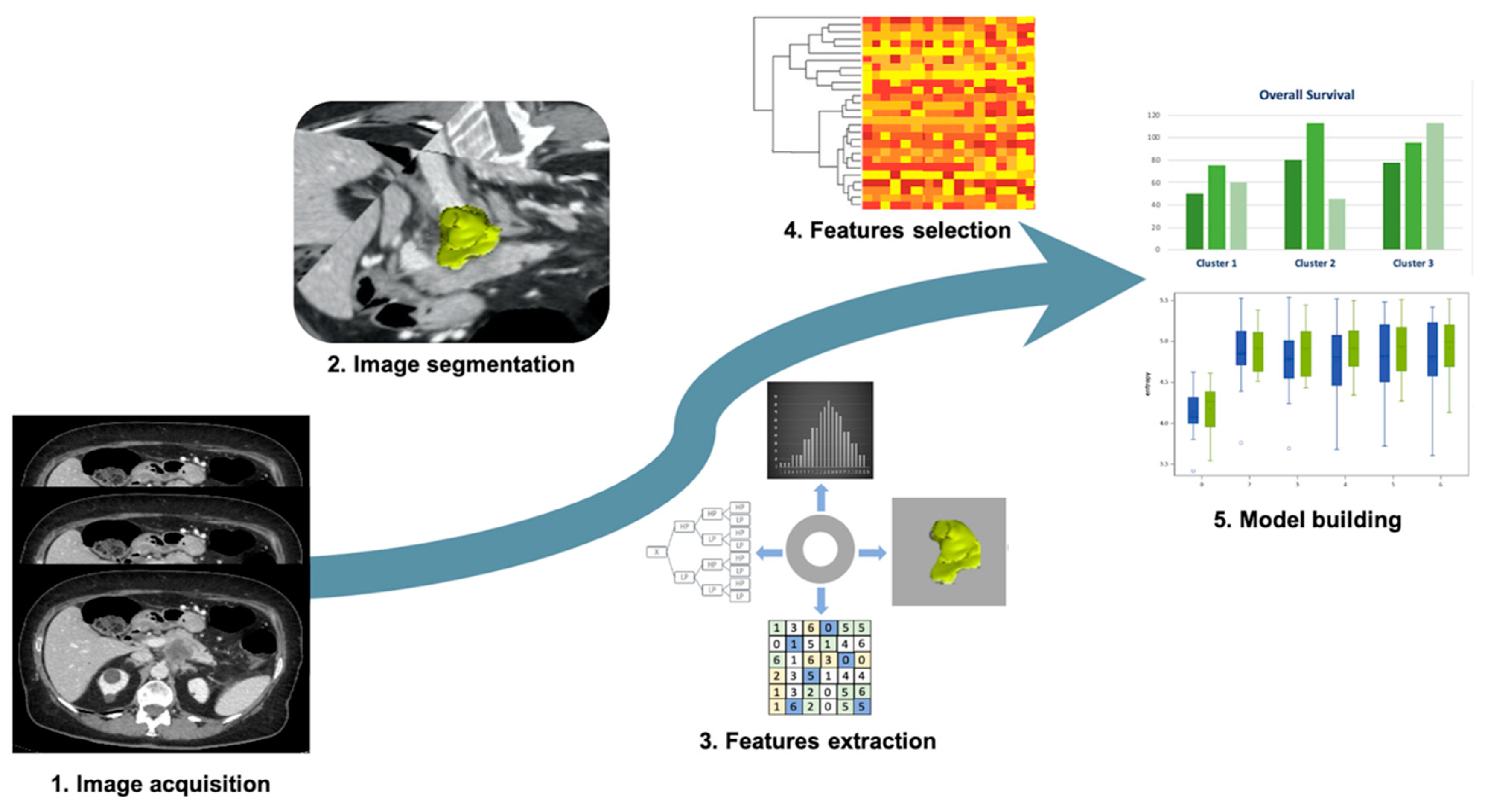 Cancers 13 02522 g003