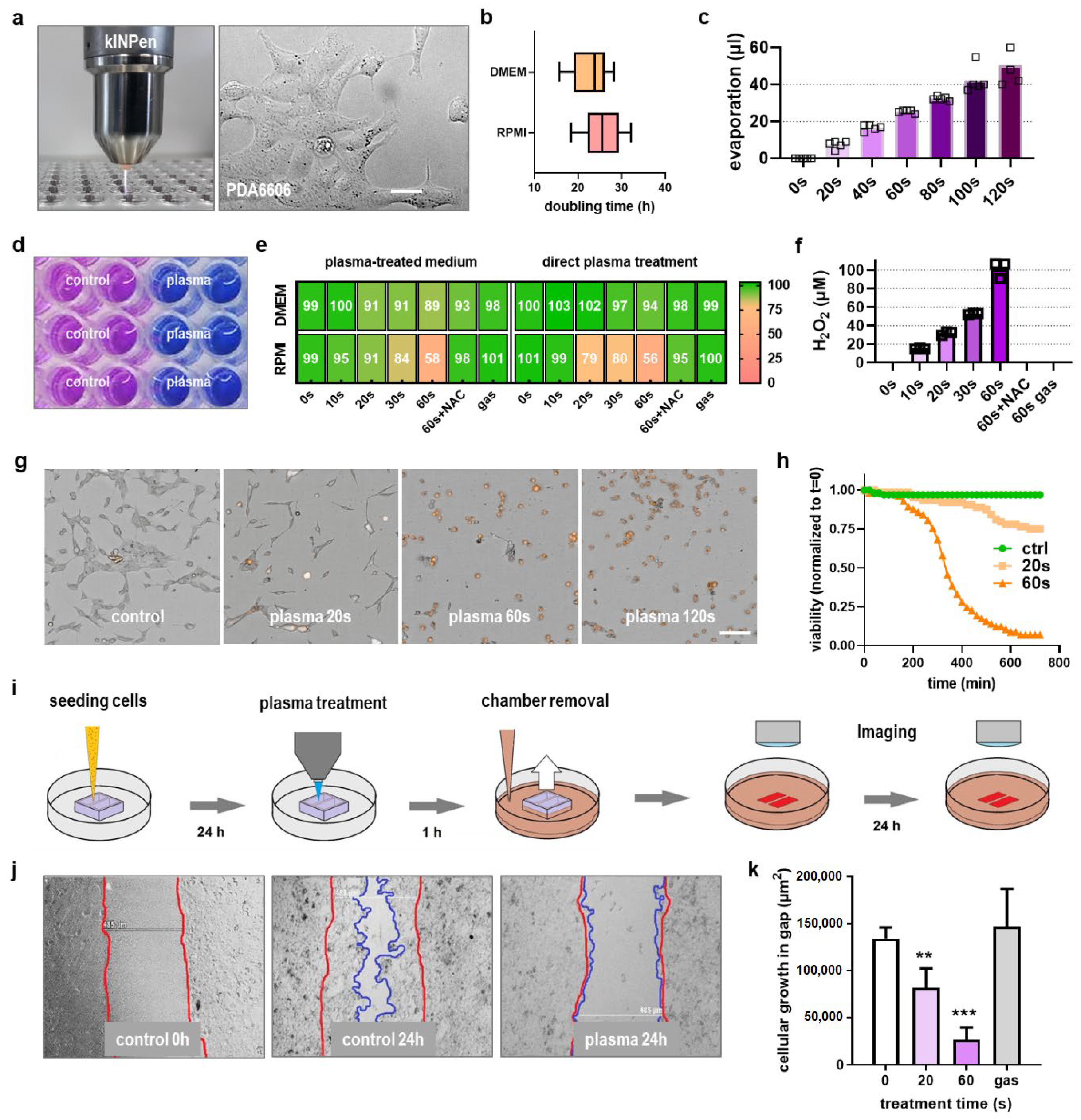 Cancers 13 02525 g001