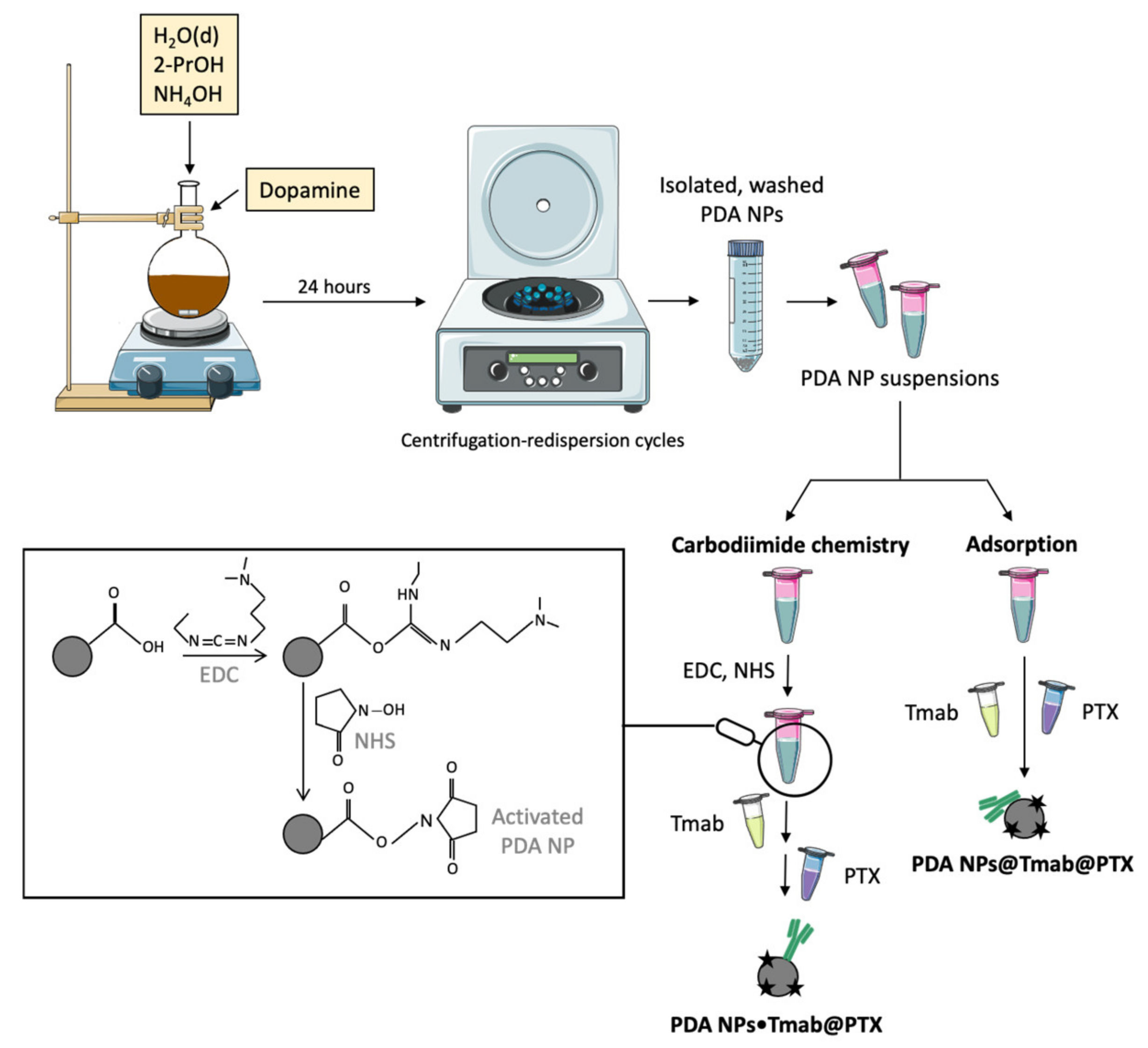 Cancers 13 02526 g002 Cancers 13 02526 g002