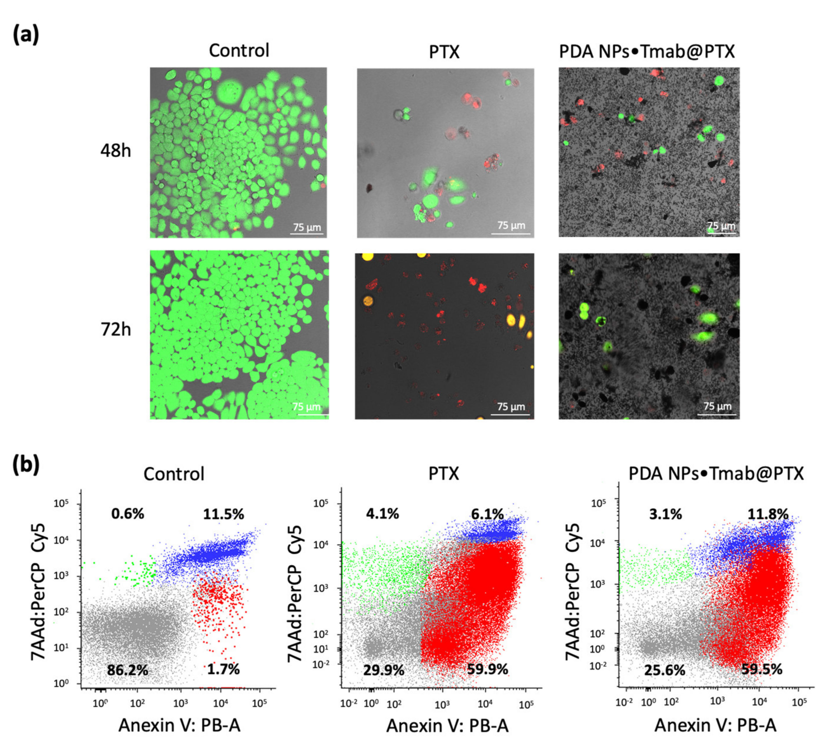 Cancers 13 02526 g004 Cancers 13 02526 g004