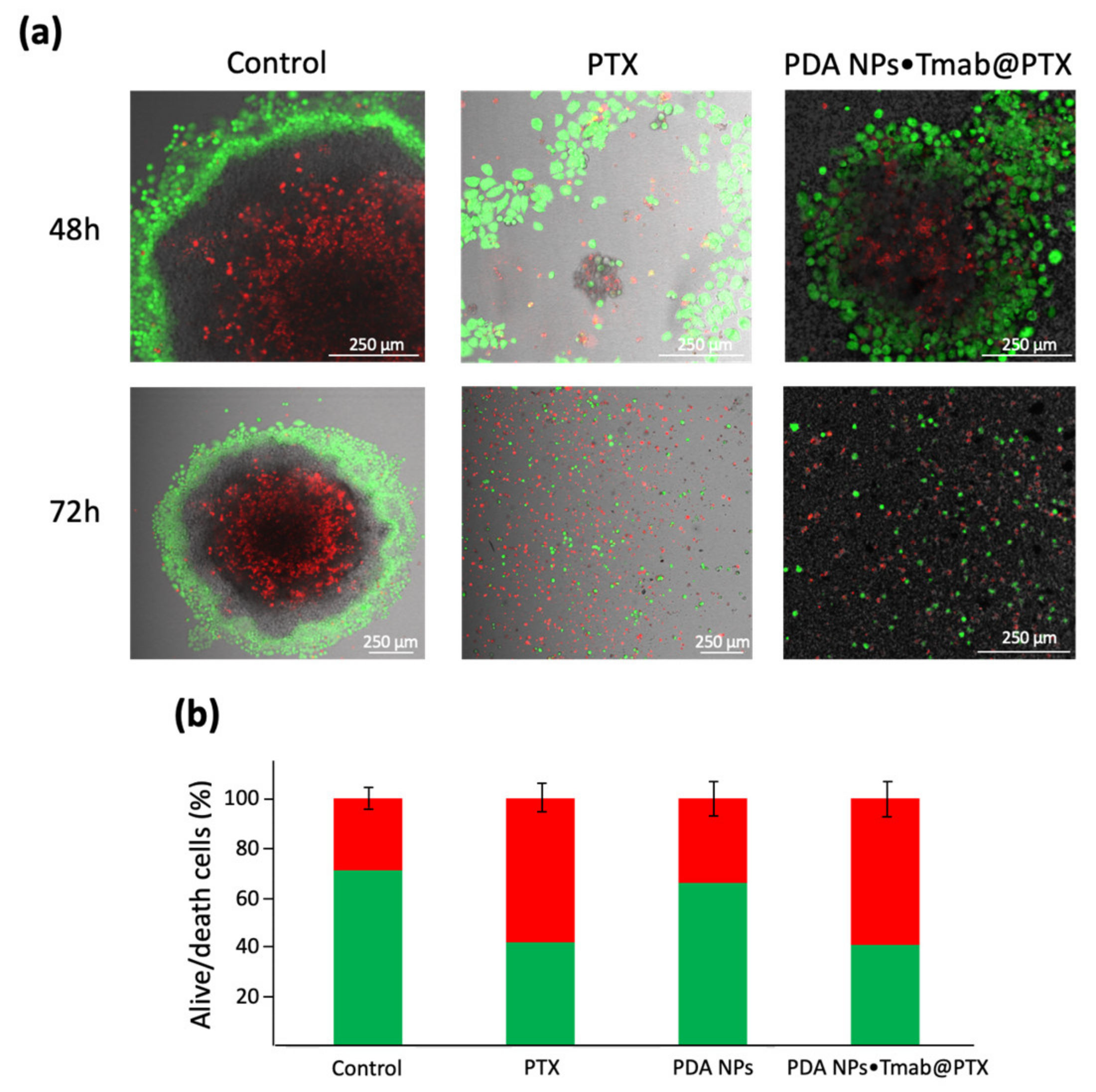 Cancers 13 02526 g006 Cancers 13 02526 g006