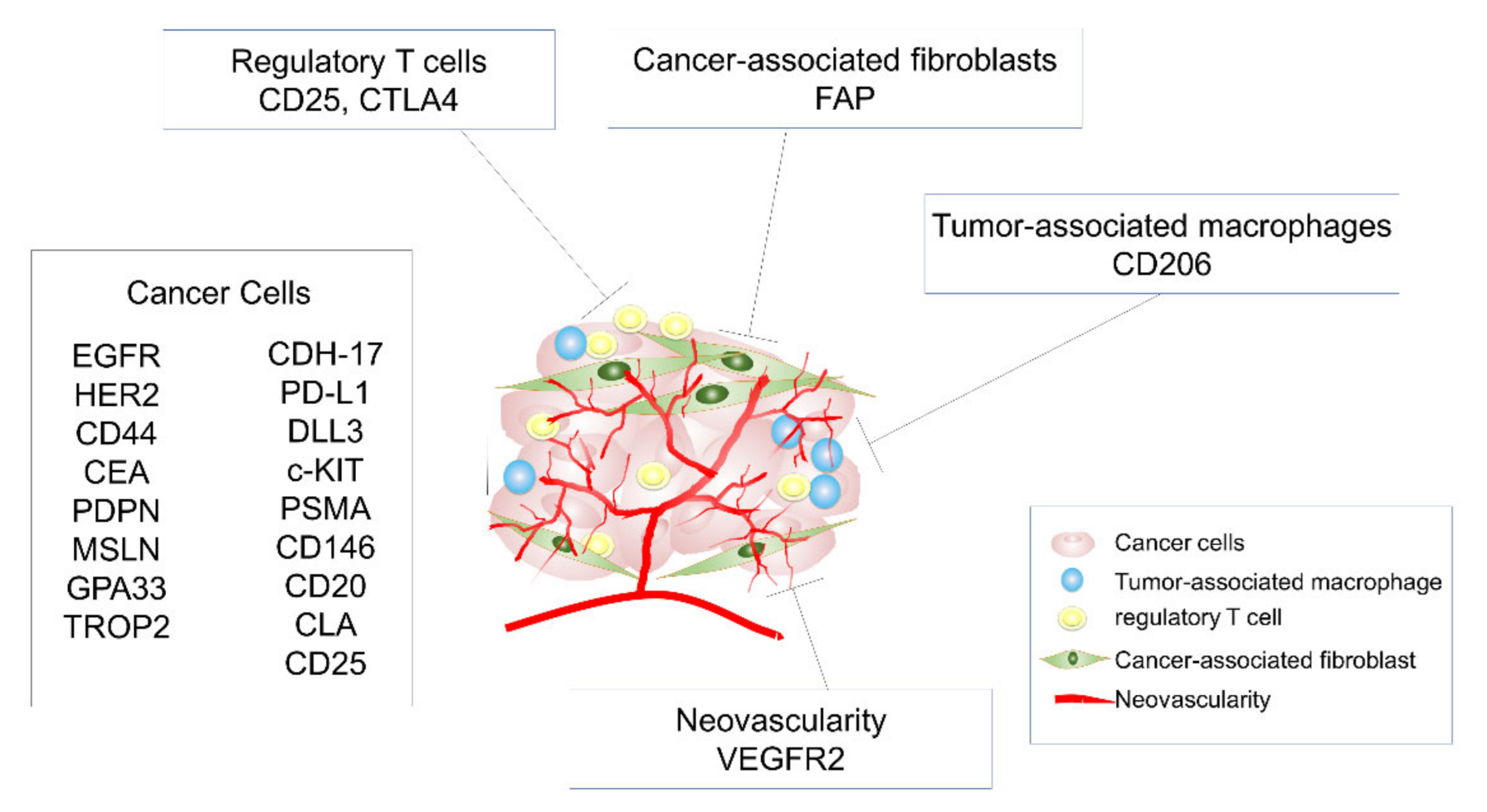 Cancers 13 02535 g003 Cancers 13 02535 g003