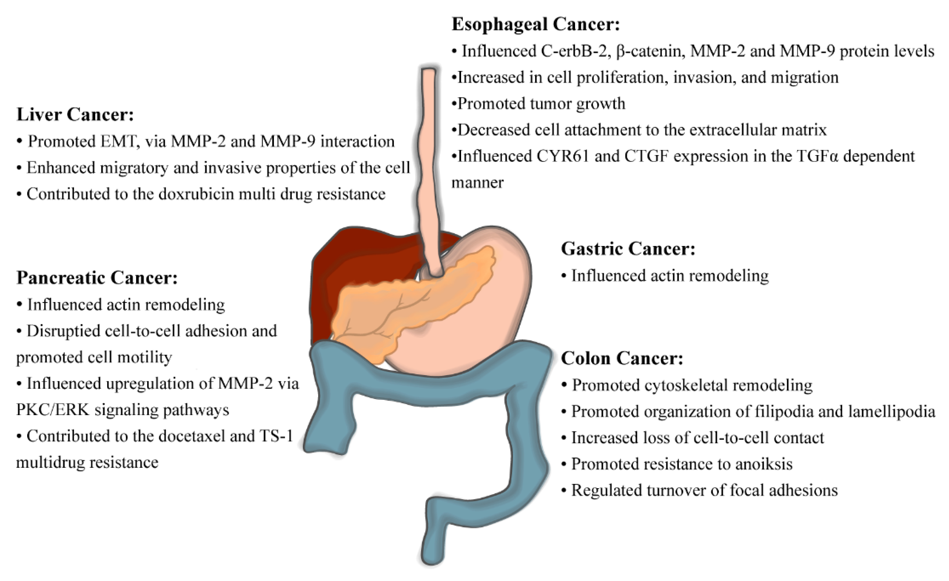 Cancers 13 02536 g004 Cancers 13 02536 g004