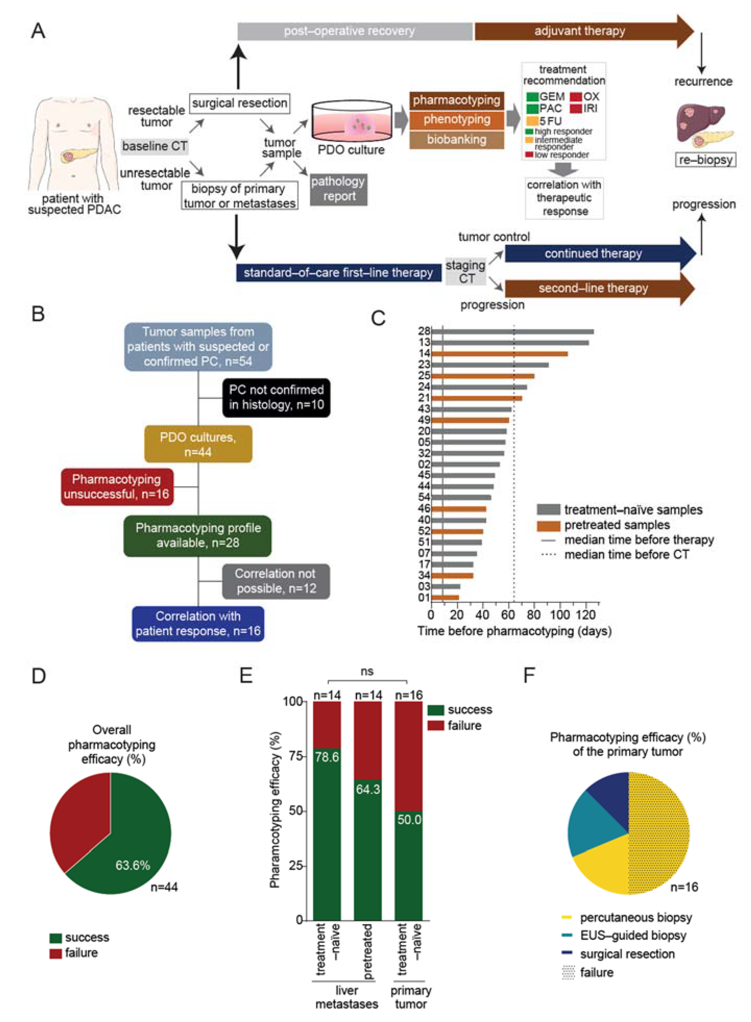 Cancers 13 02539 g001