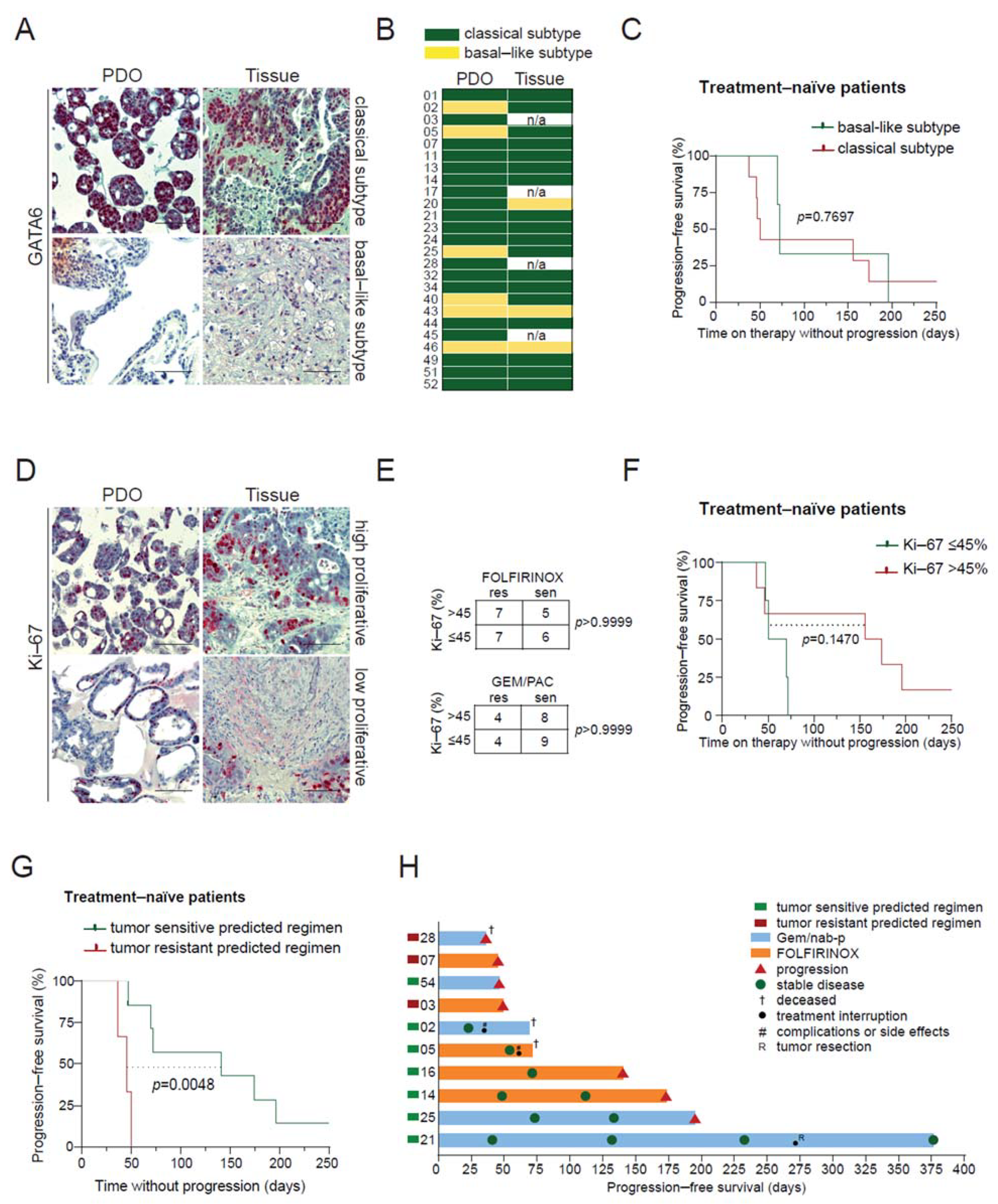 Cancers 13 02539 g004