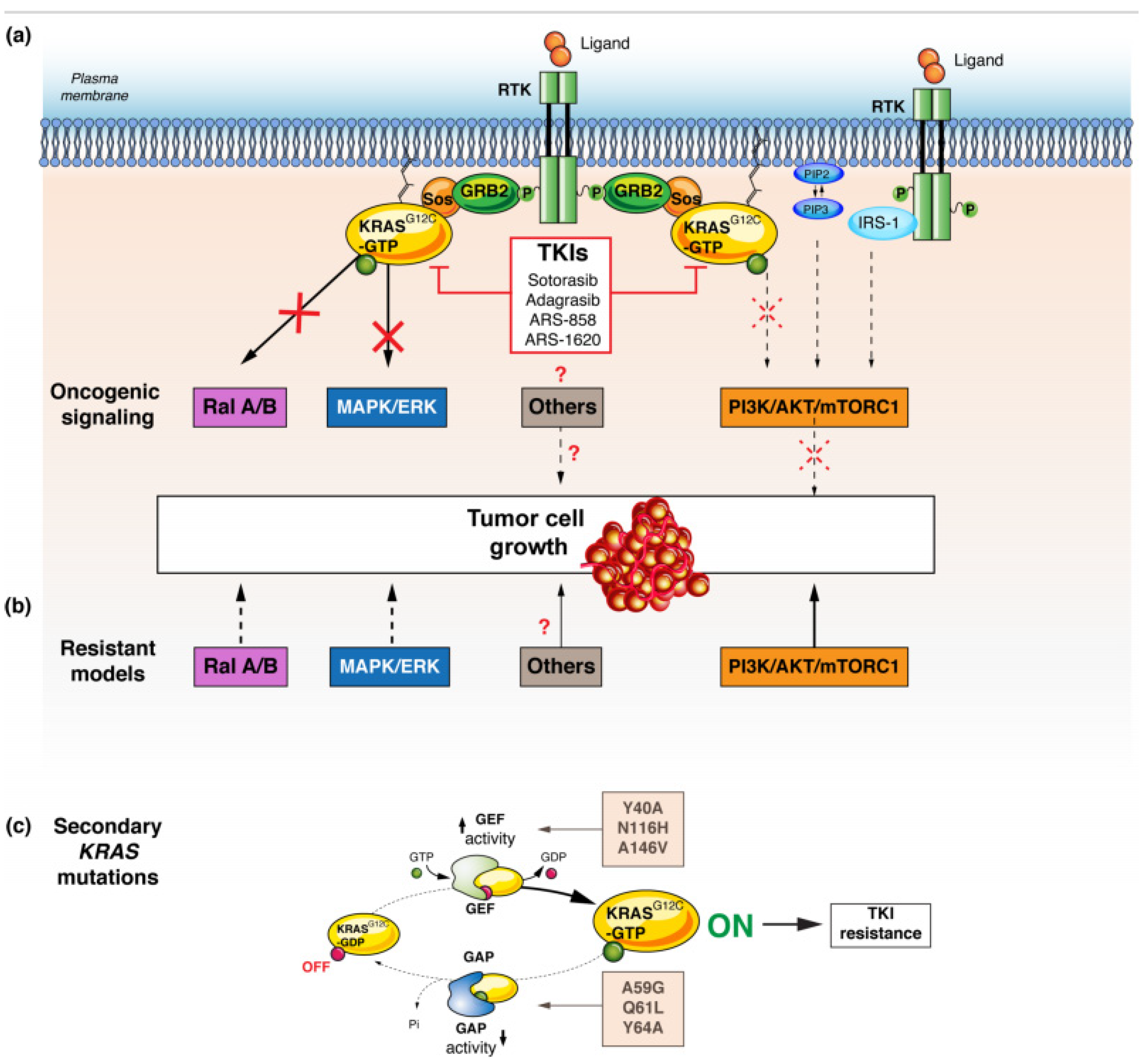 Cancers 13 02541 g002