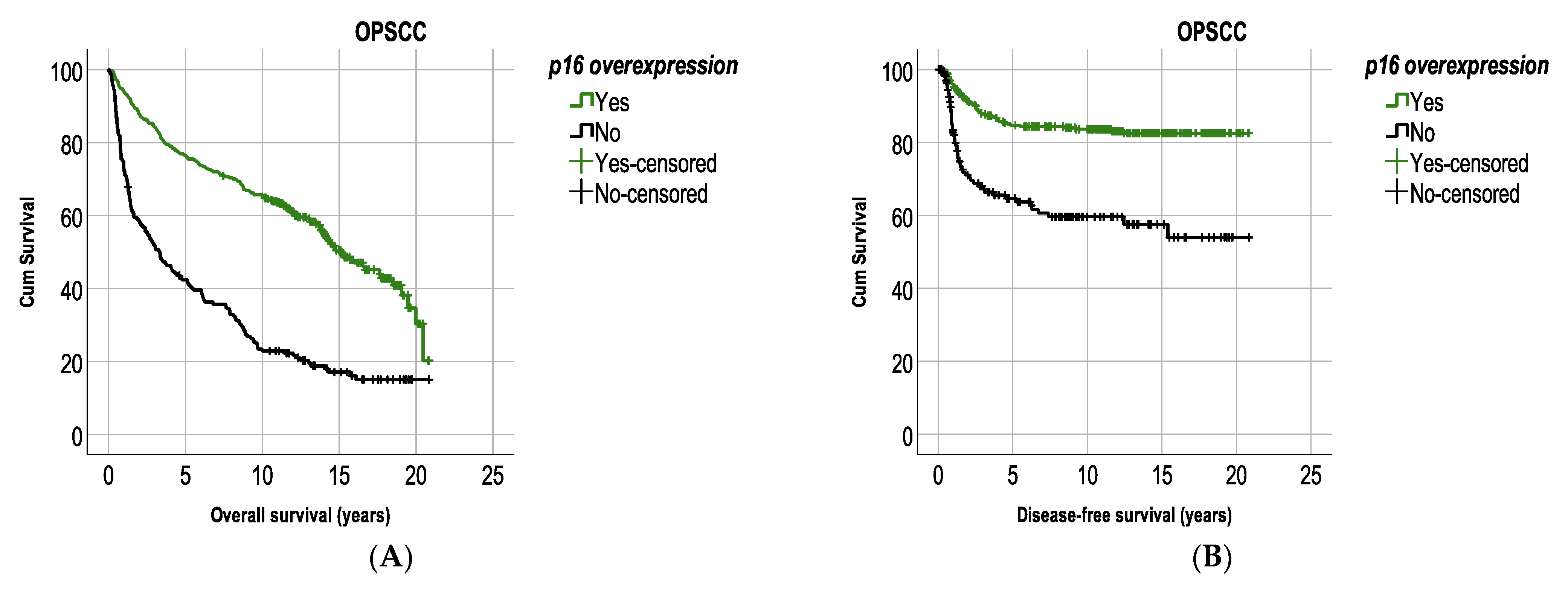Cancers 13 02553 g001a Cancers 13 02553 g001a