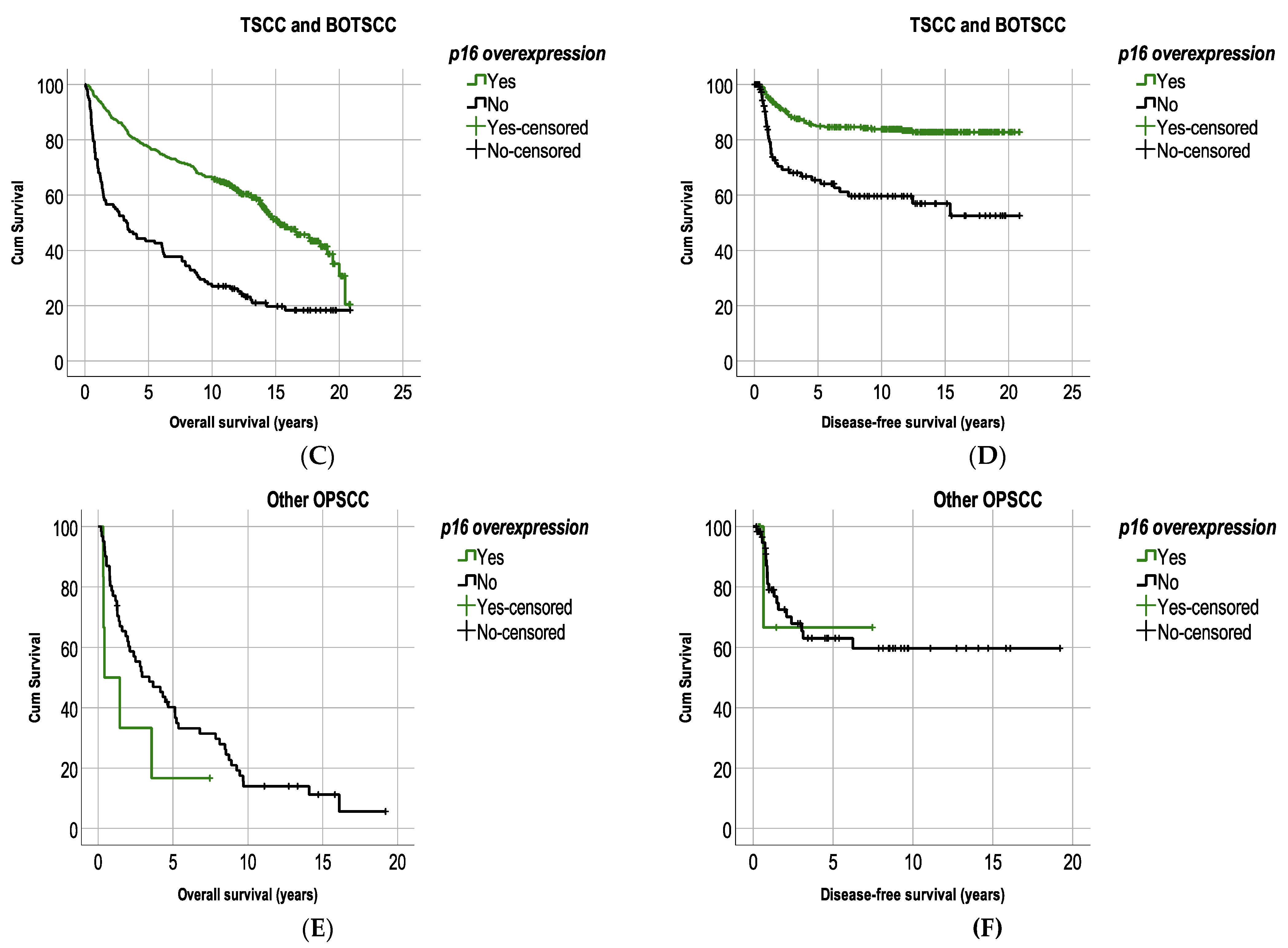 Cancers 13 02553 g001b Cancers 13 02553 g001b