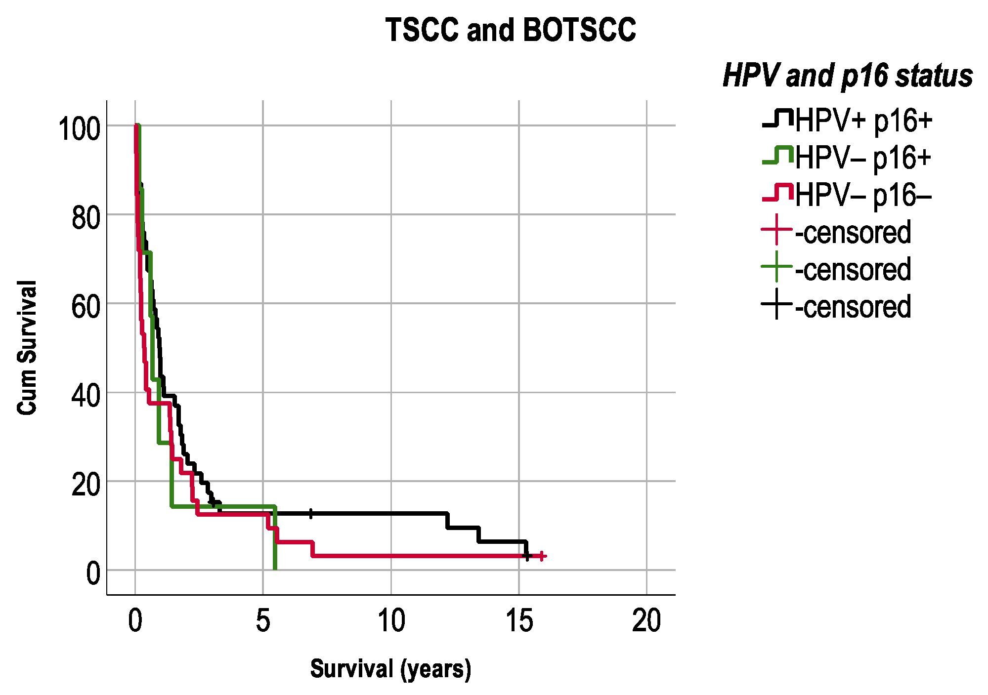 Cancers 13 02553 g005 Cancers 13 02553 g005