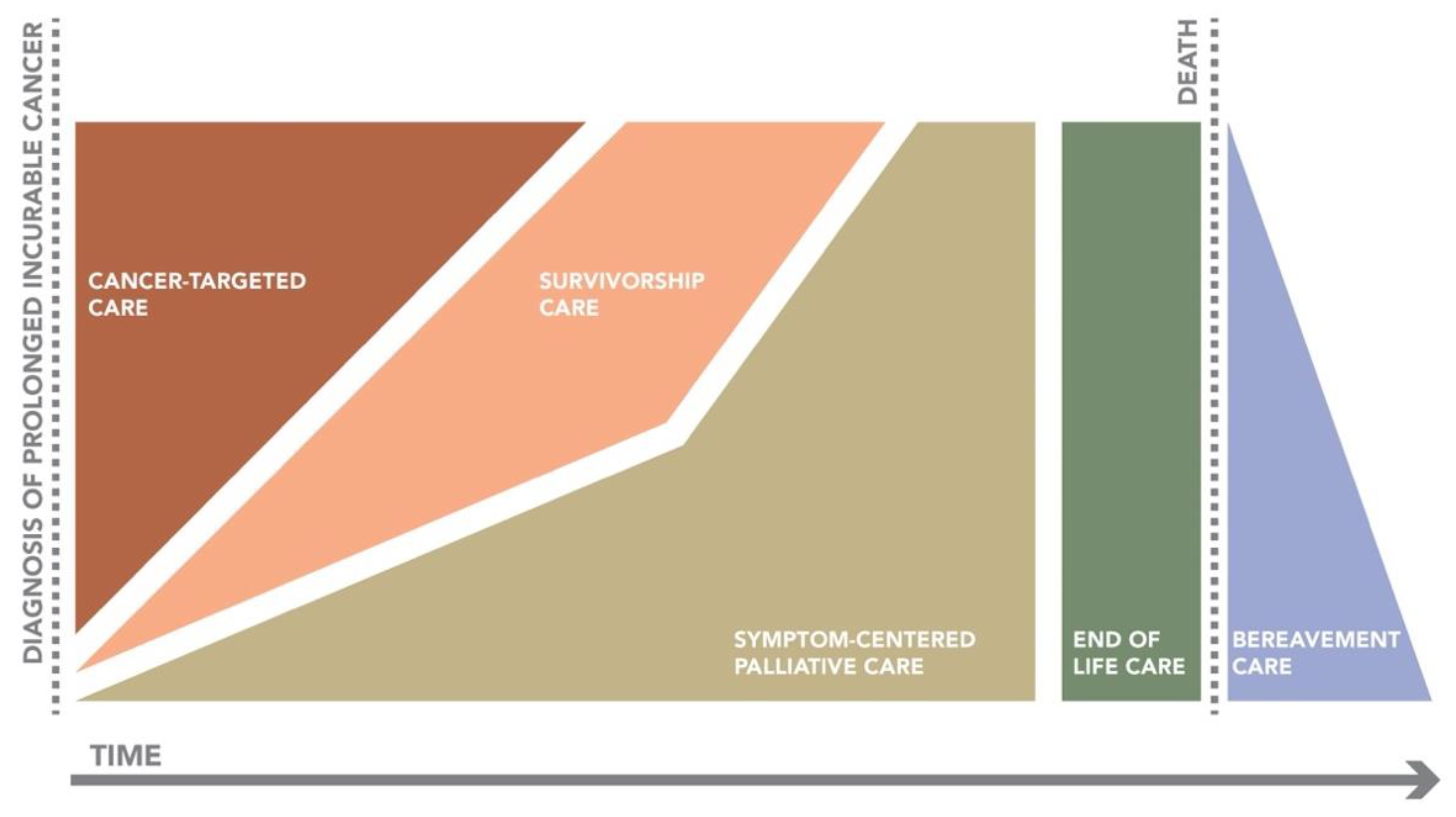 Cancers 13 02555 g001