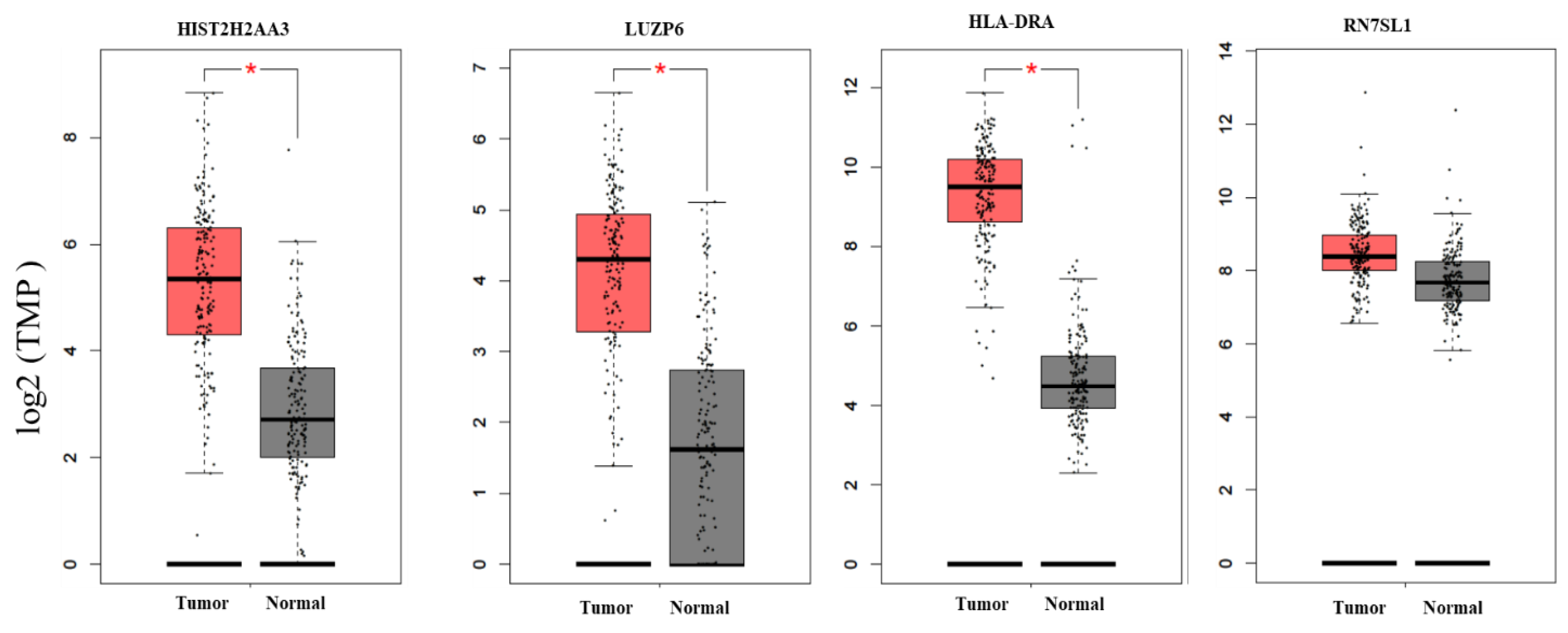 Cancers 13 02565 g003