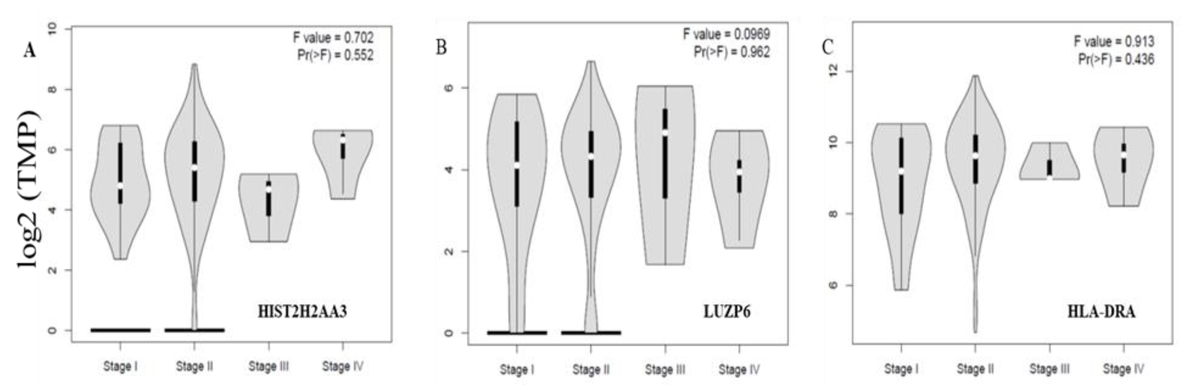 Cancers 13 02565 g005
