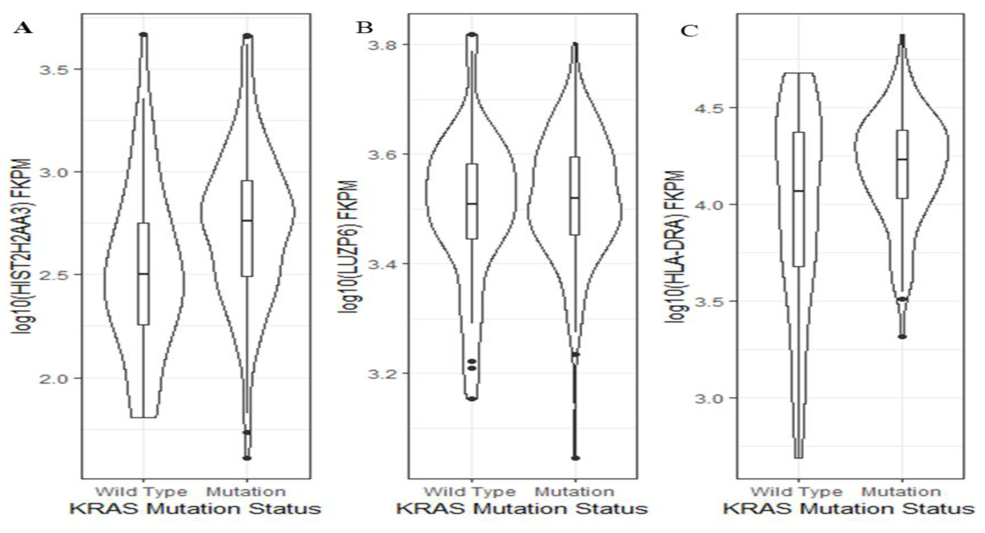 Cancers 13 02565 g006