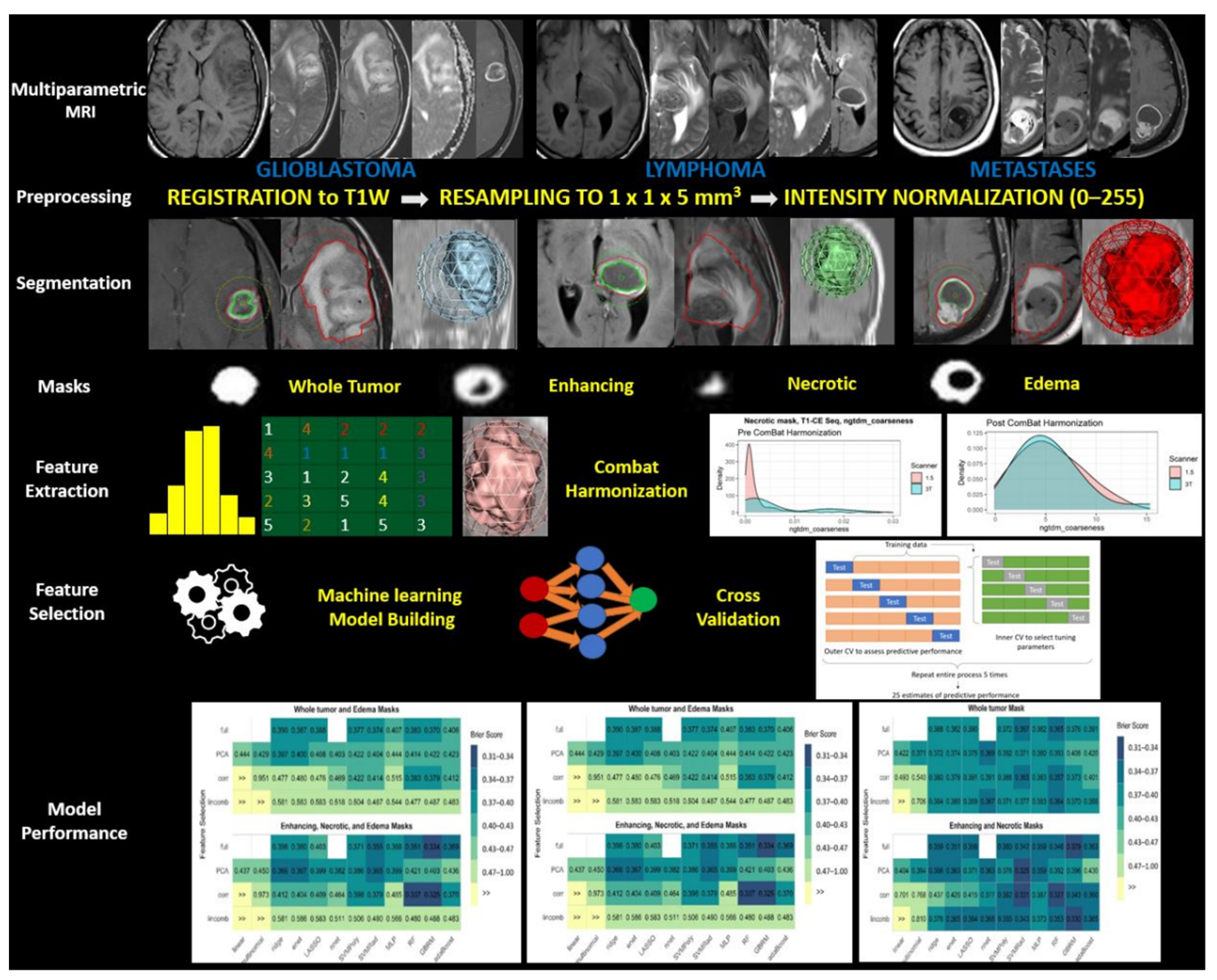 Cancers 13 02568 g002