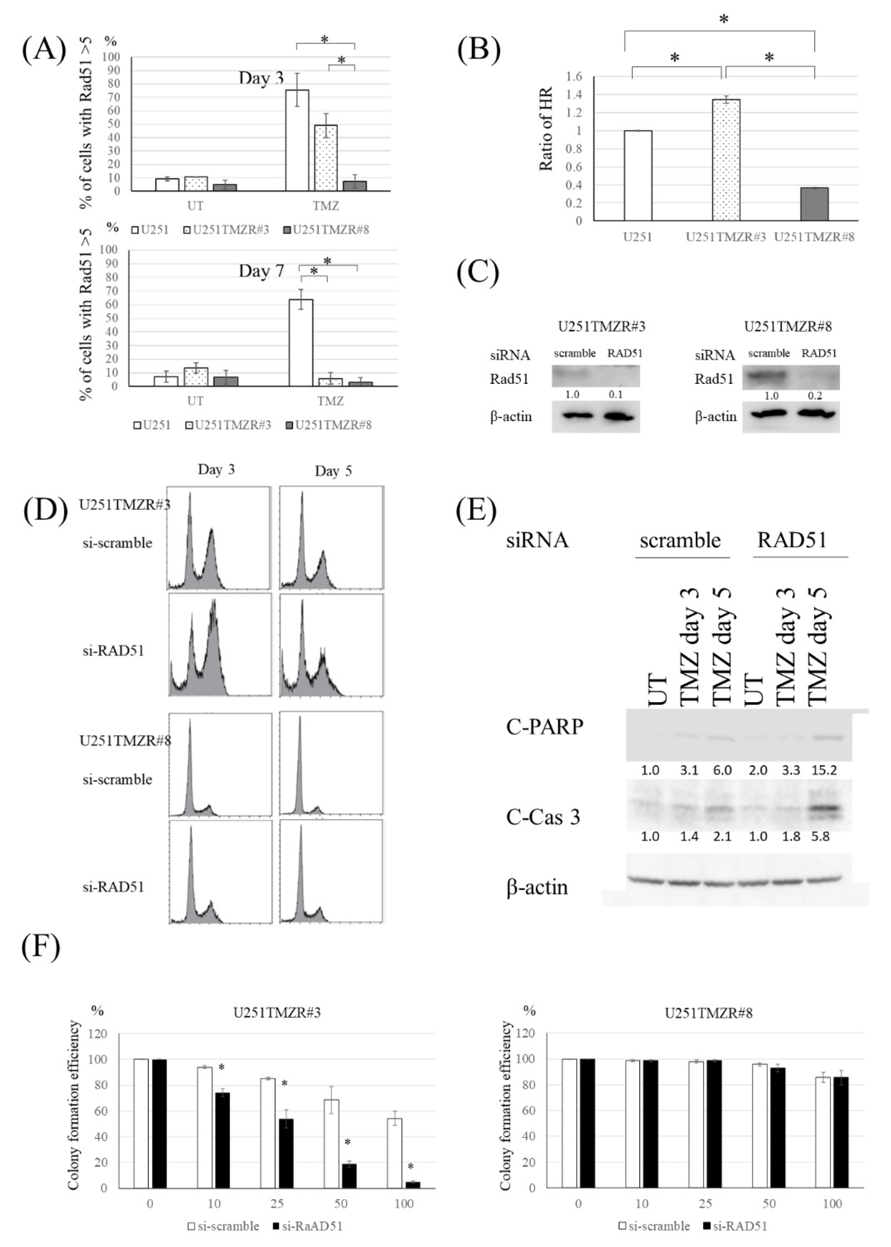 Cancers 13 02570 g002 Cancers 13 02570 g002