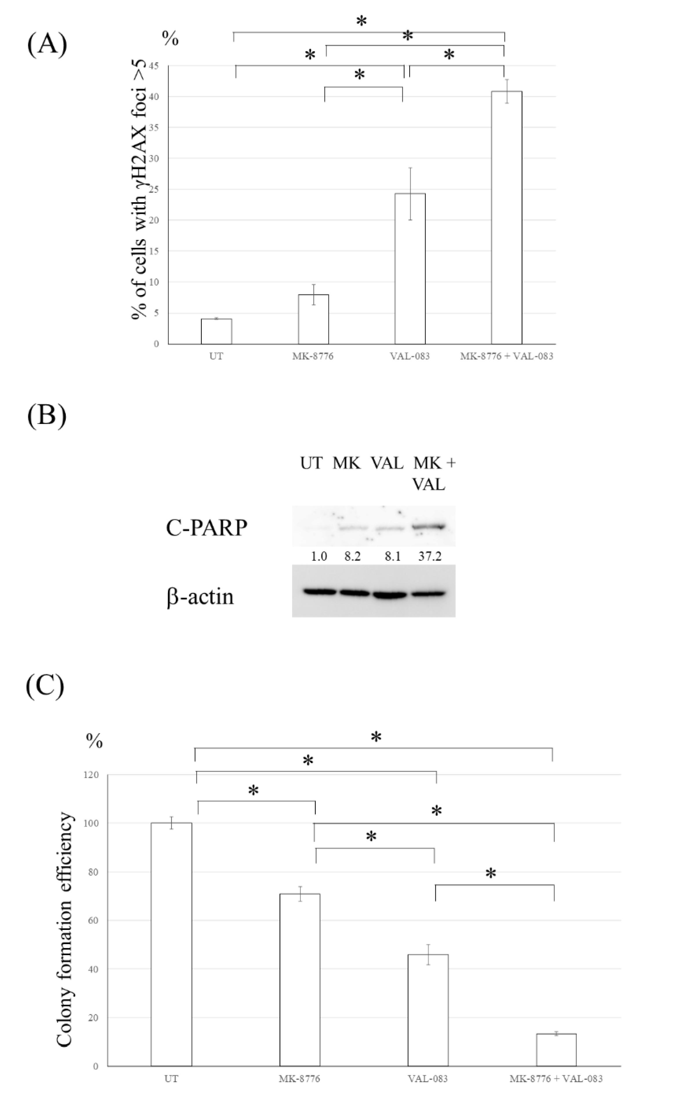 Cancers 13 02570 g006 Cancers 13 02570 g006