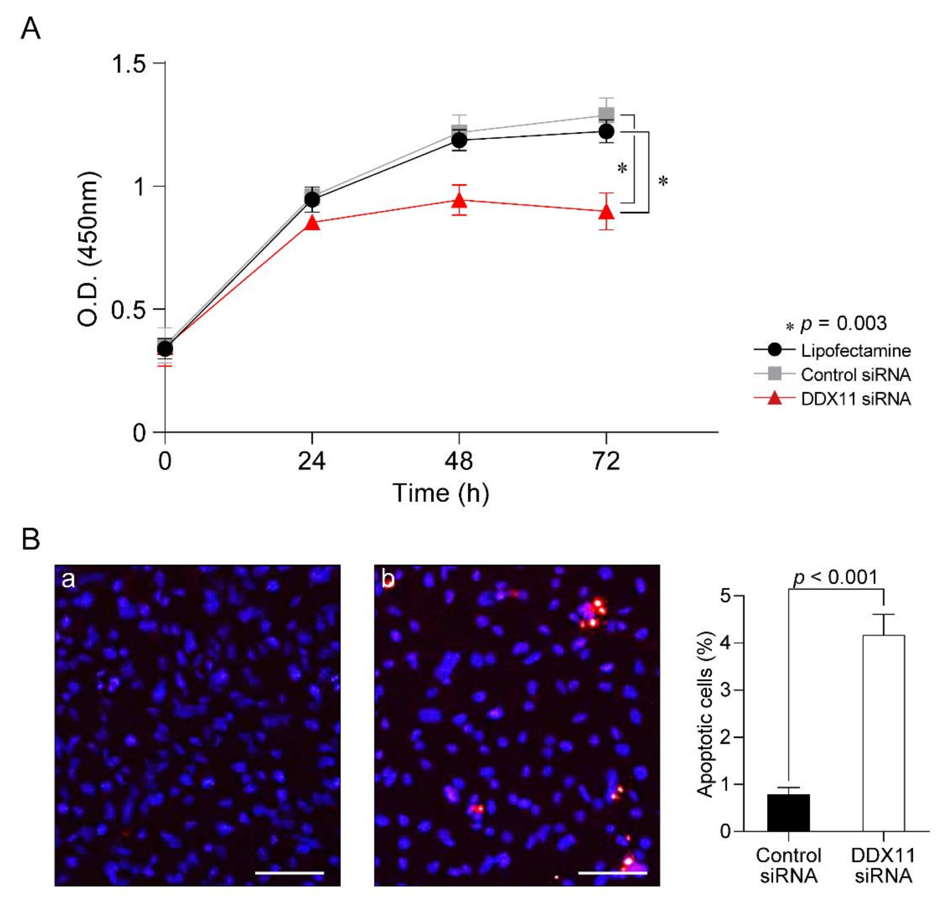 Cancers 13 02574 g004