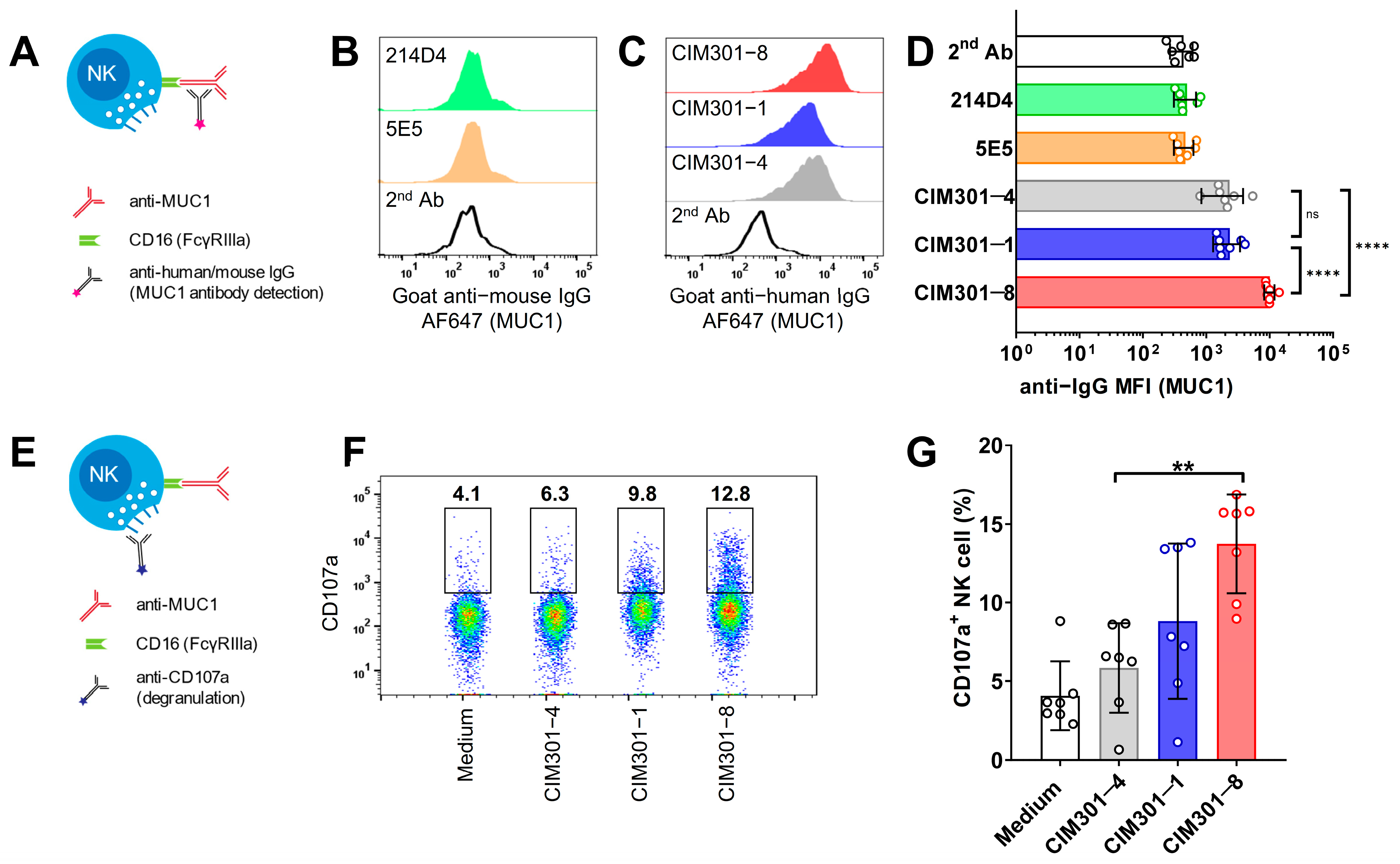 Cancers 13 02579 g002