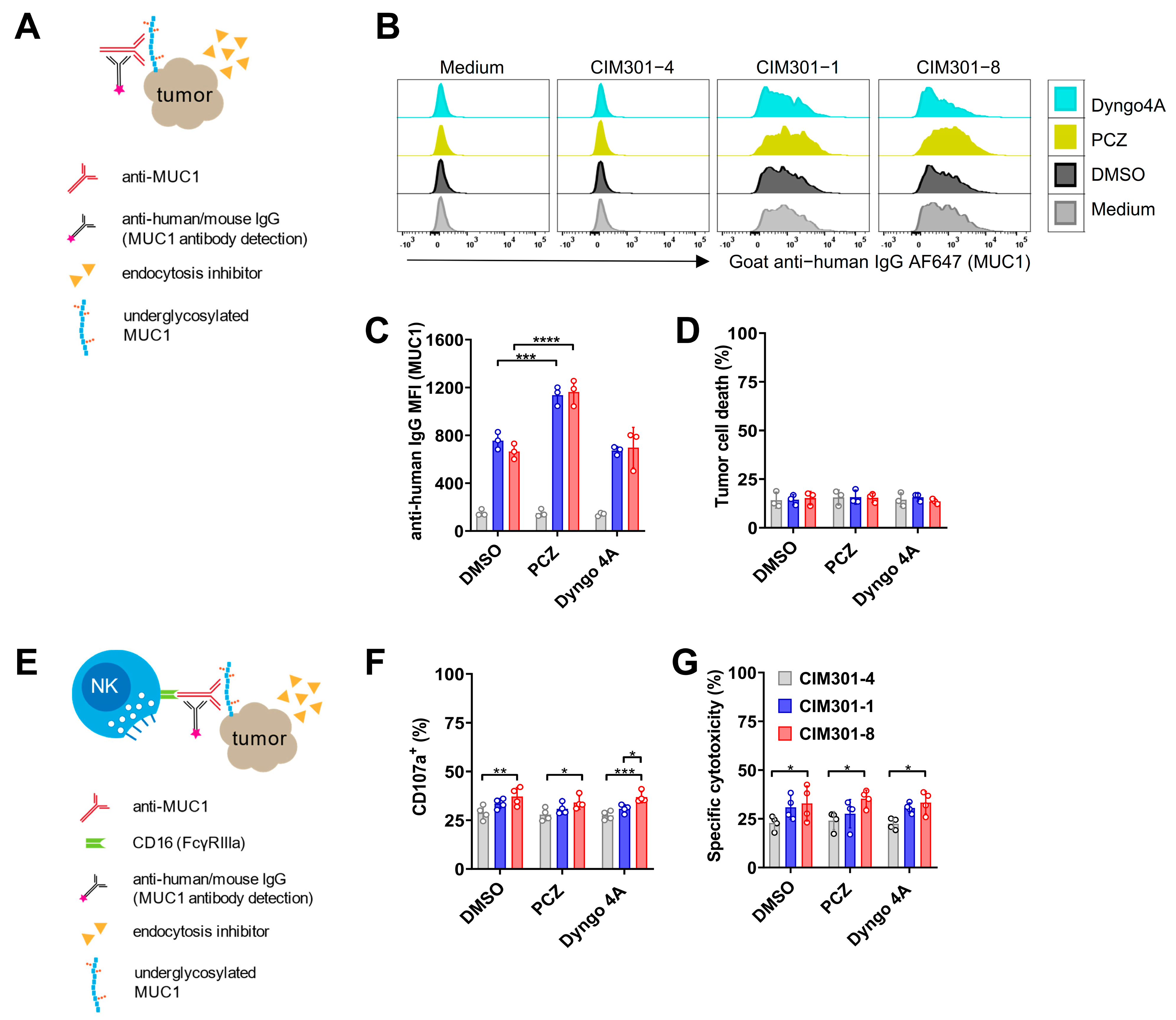 Cancers 13 02579 g006