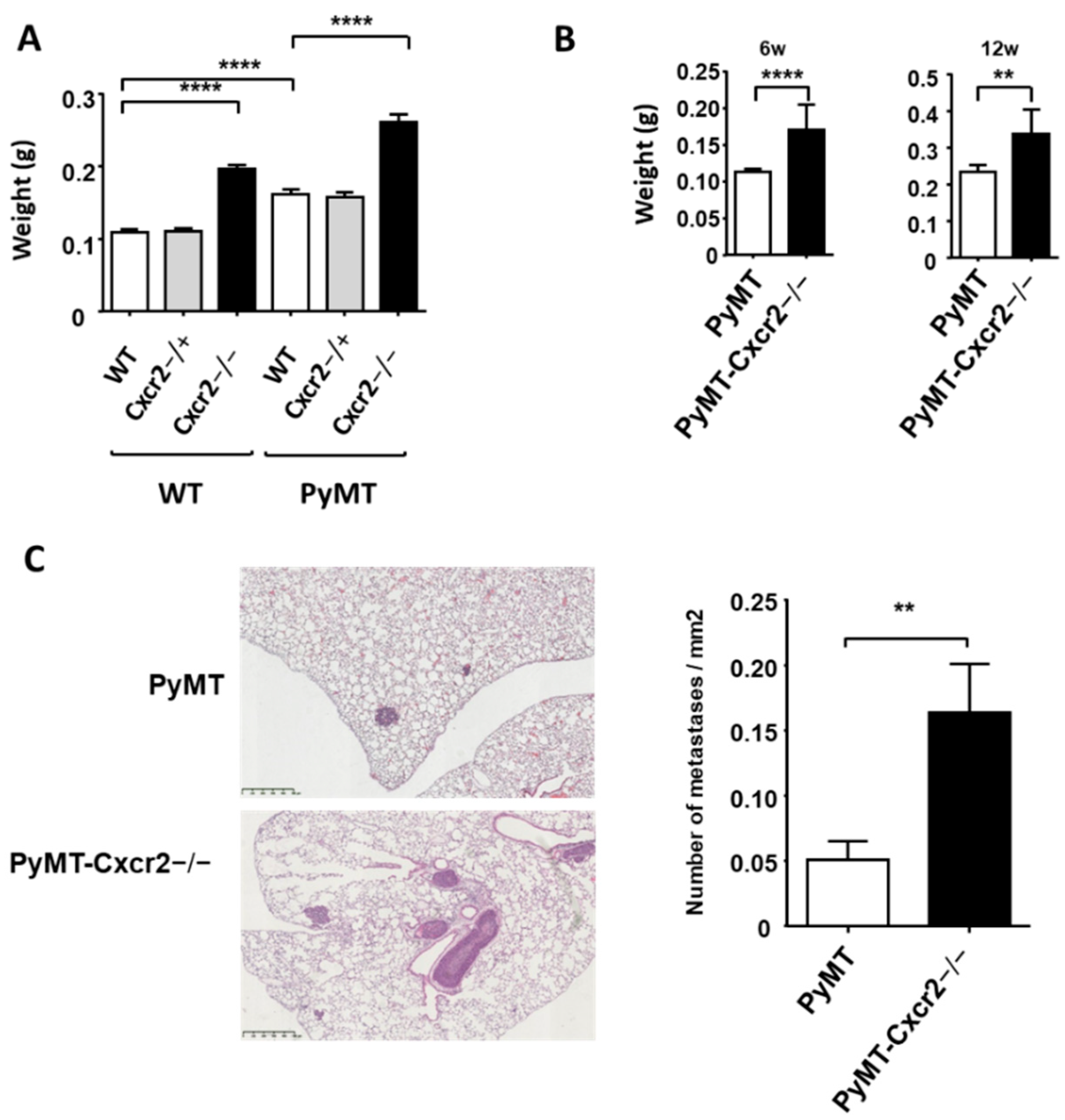 Cancers 13 02584 g003 Cancers 13 02584 g003