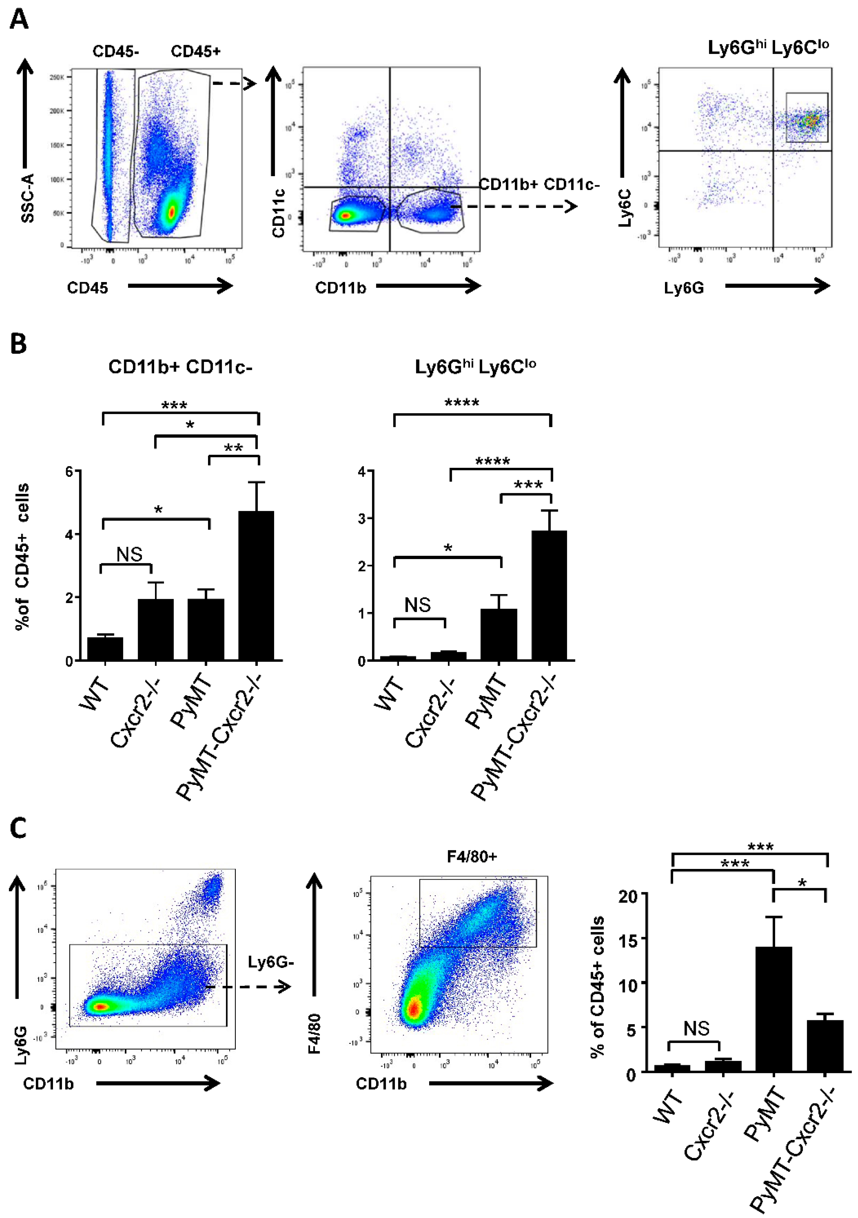 Cancers 13 02584 g004 Cancers 13 02584 g004