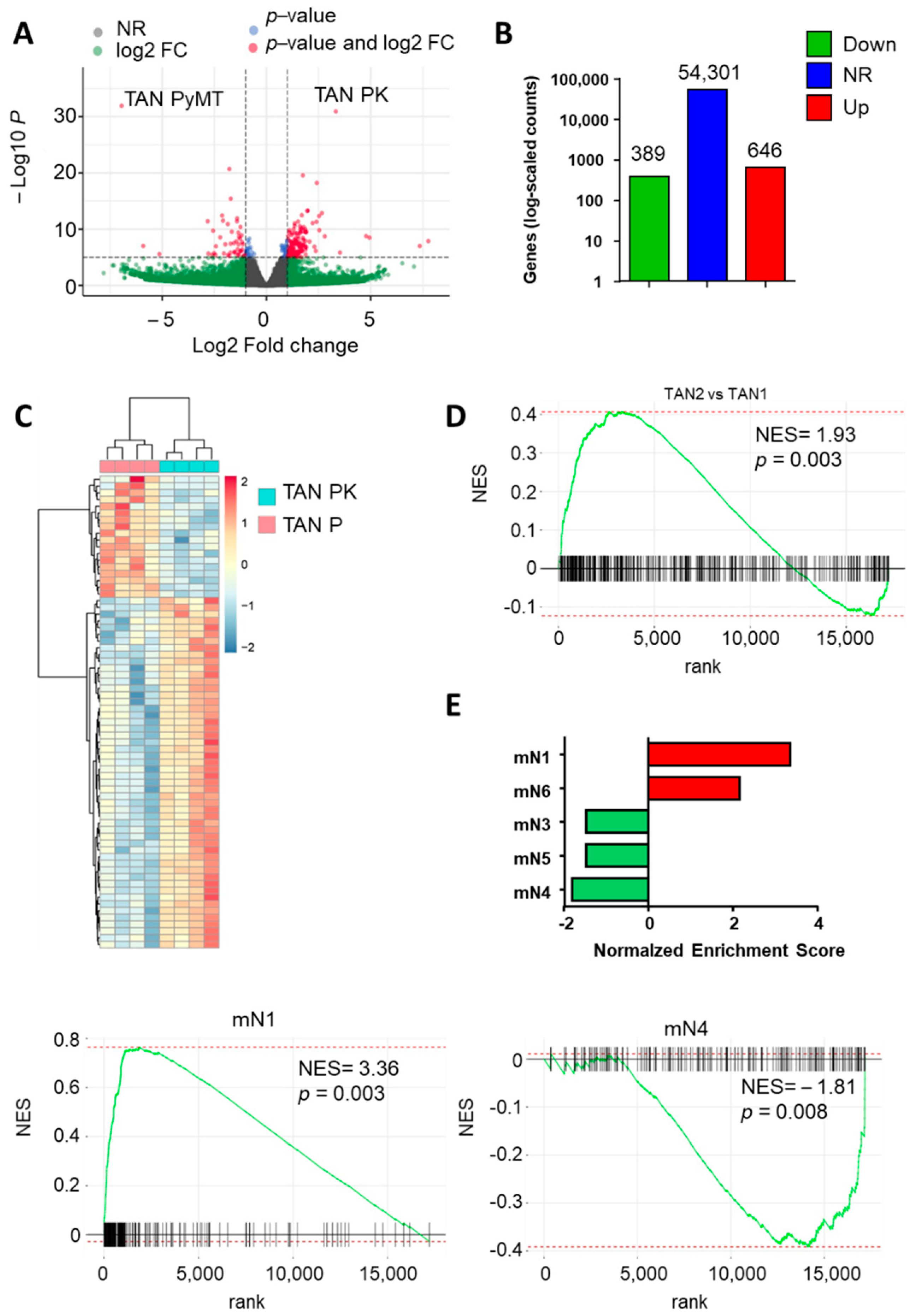 Cancers 13 02584 g005 Cancers 13 02584 g005