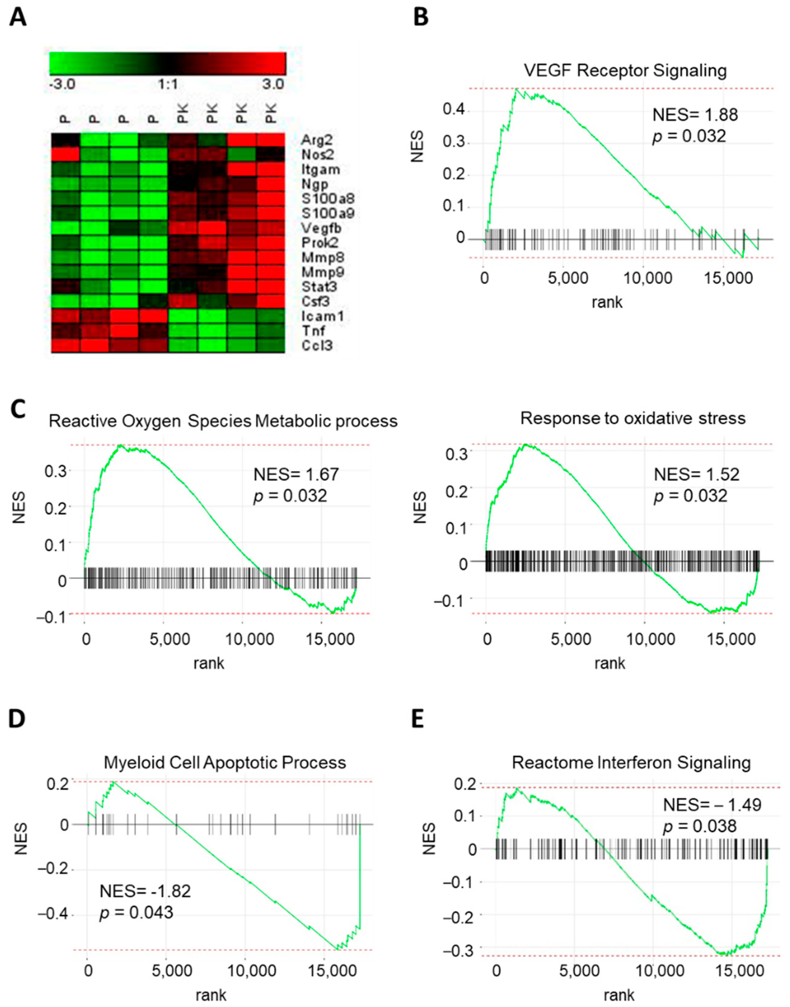 Cancers 13 02584 g006 Cancers 13 02584 g006