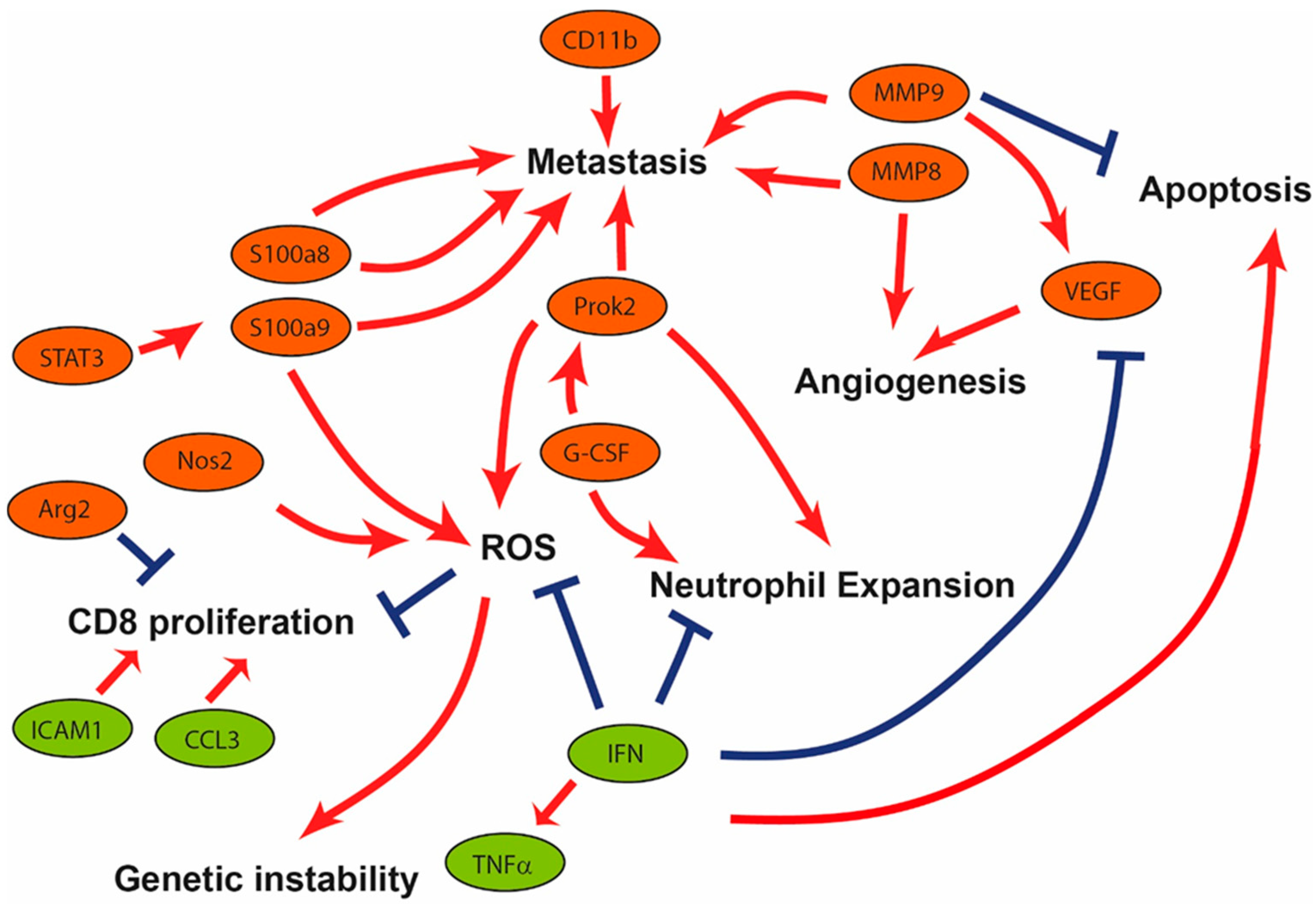 Cancers 13 02584 g008 Cancers 13 02584 g008