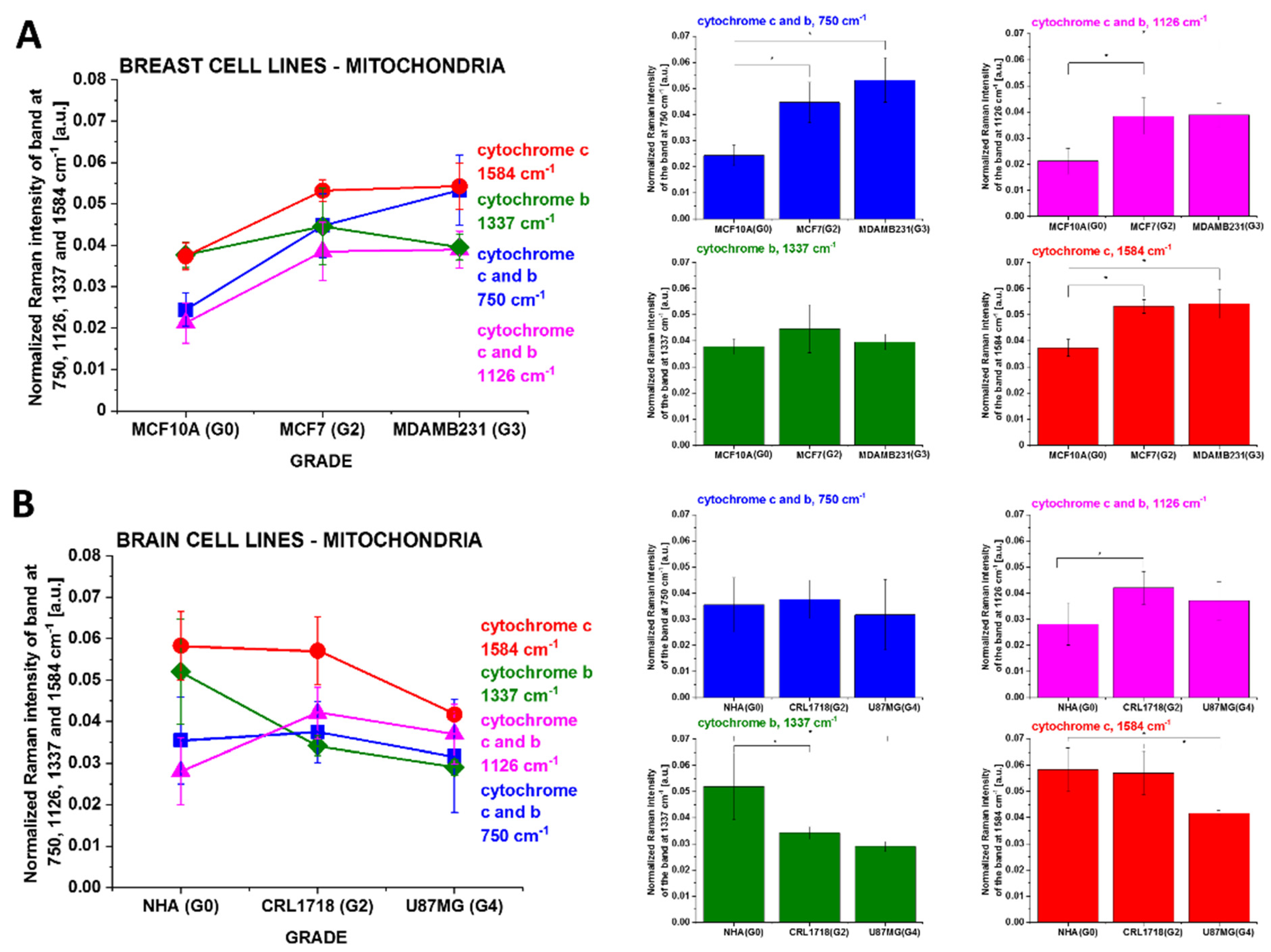 Cancers 13 02599 g005