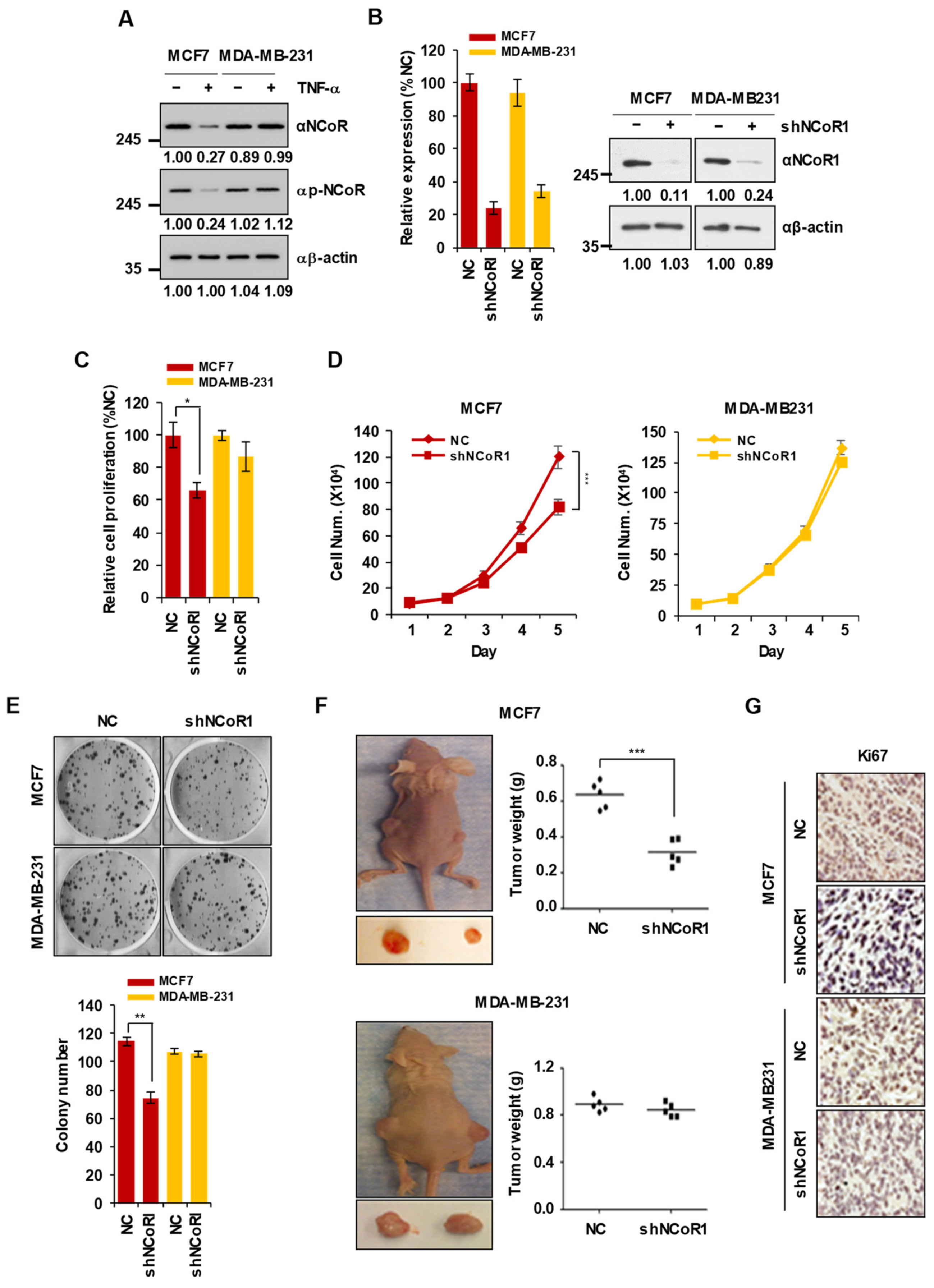 Cancers 13 02601 g001