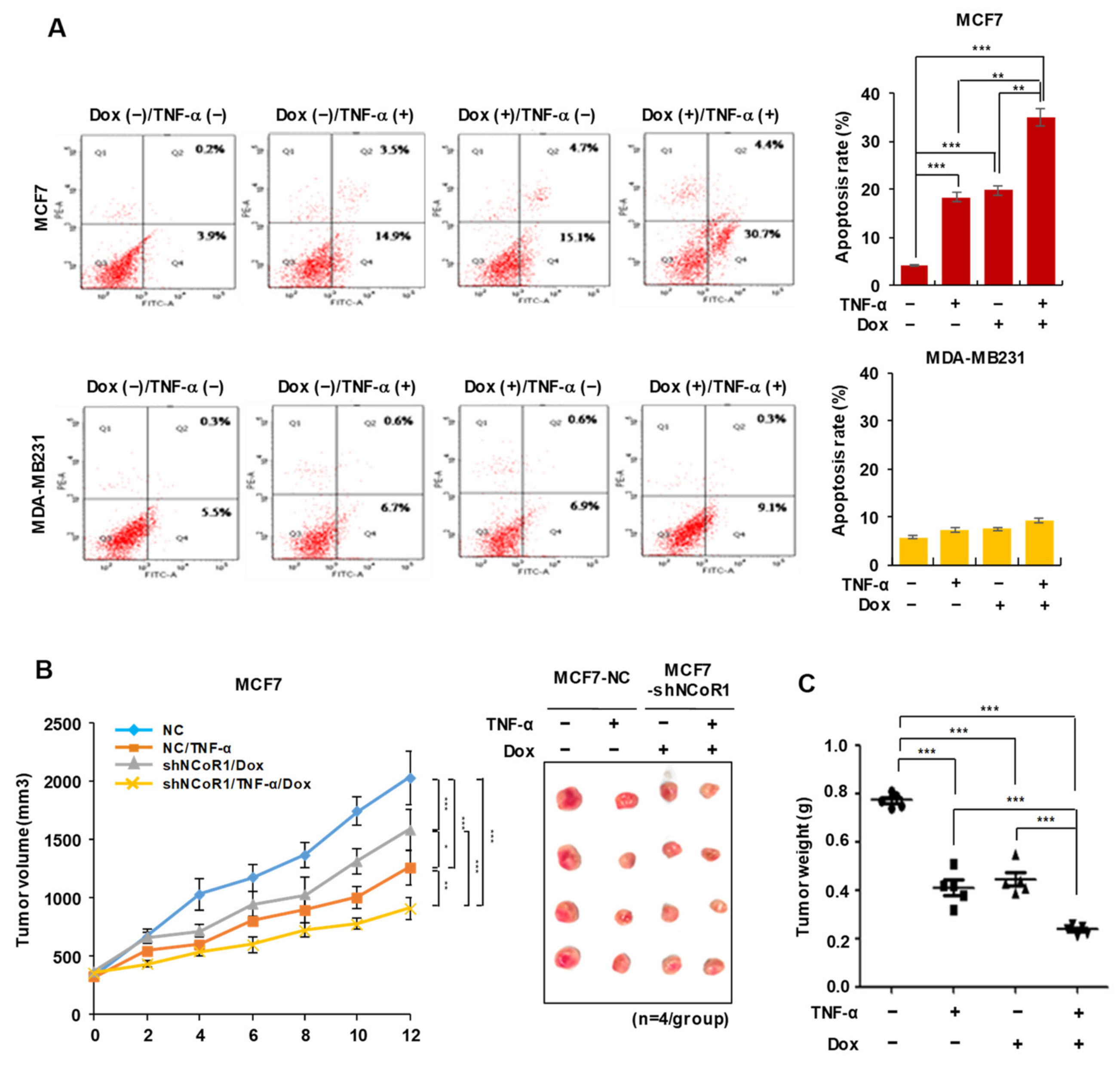 Cancers 13 02601 g002
