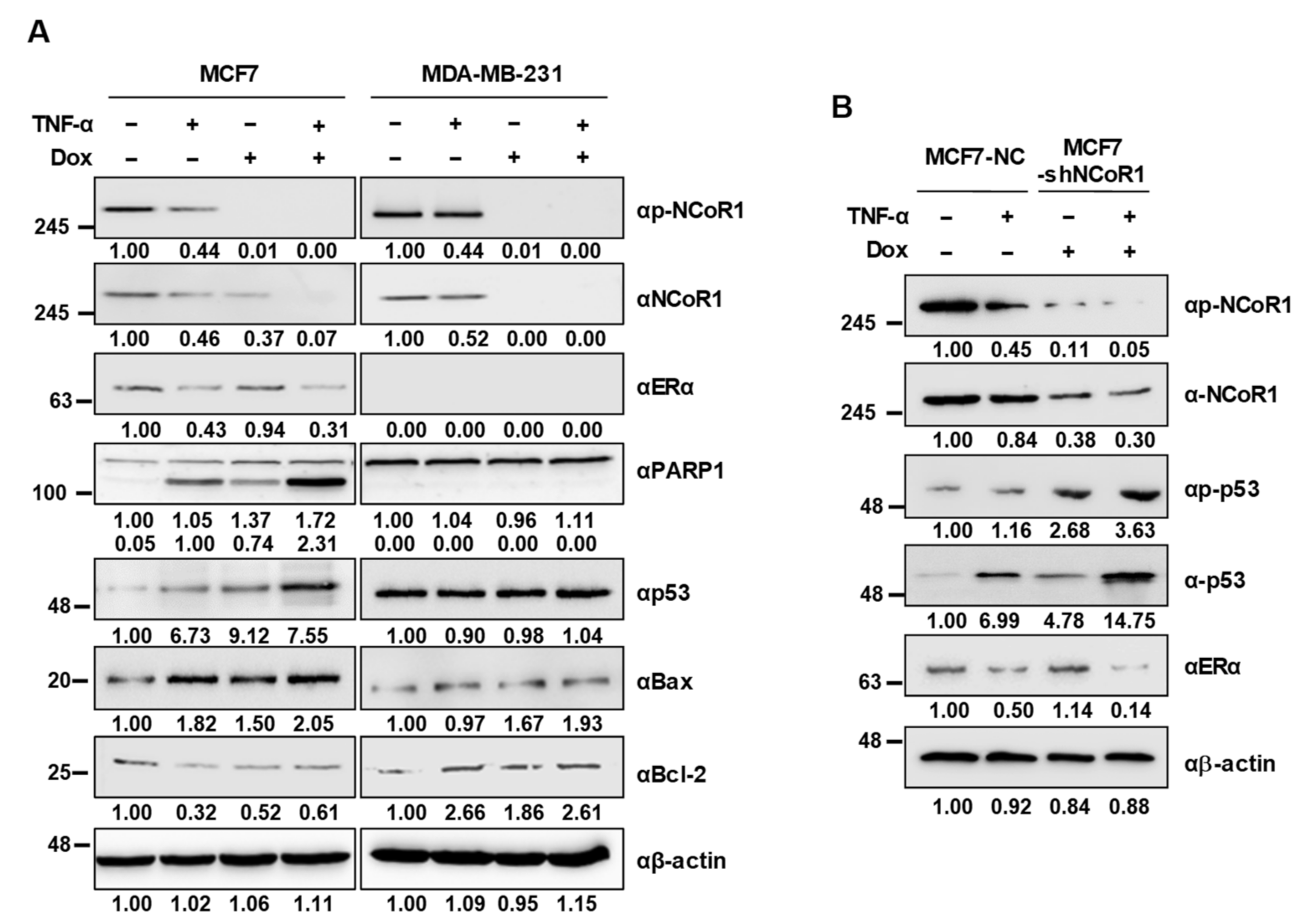 Cancers 13 02601 g003