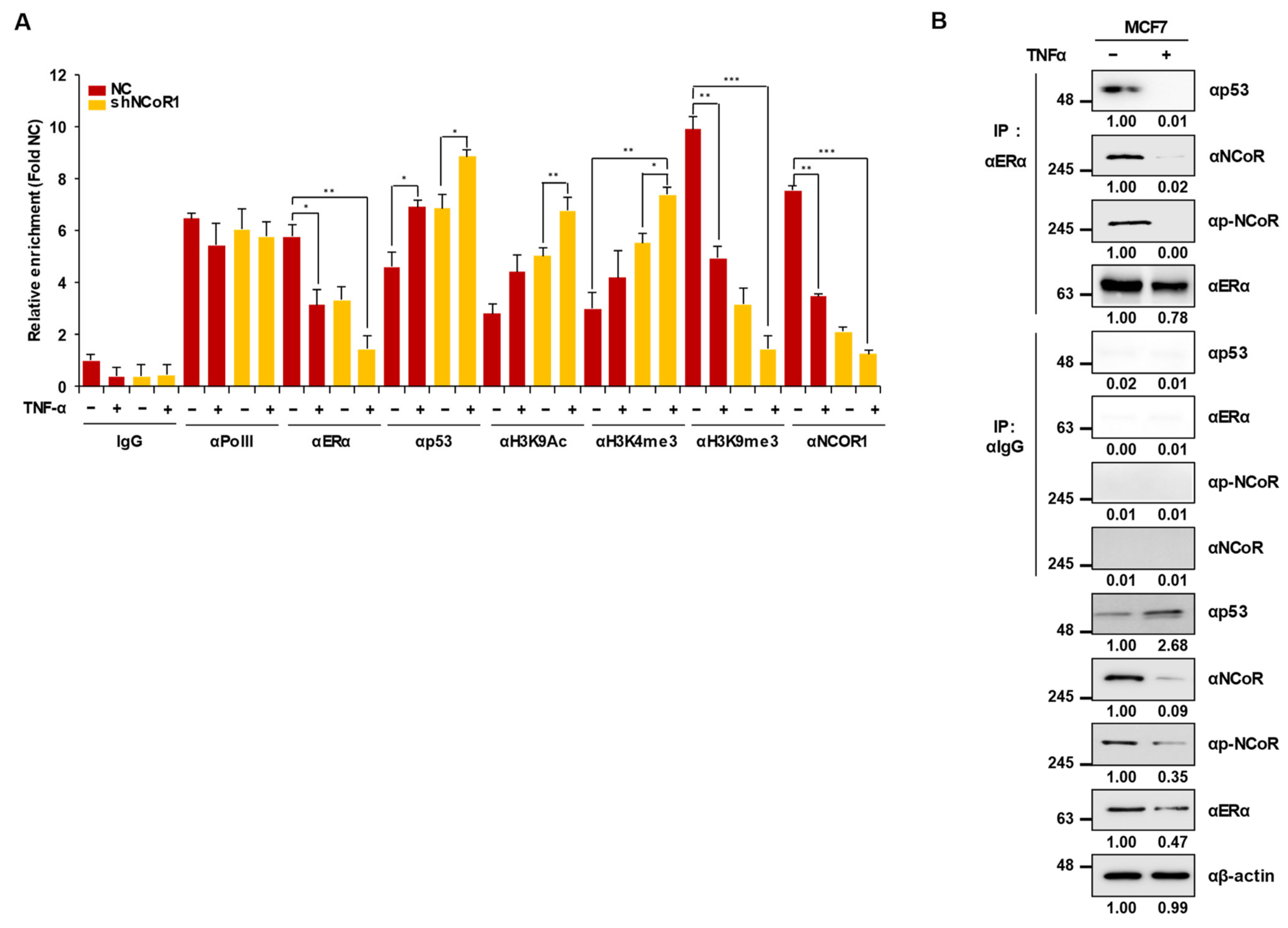 Cancers 13 02601 g004