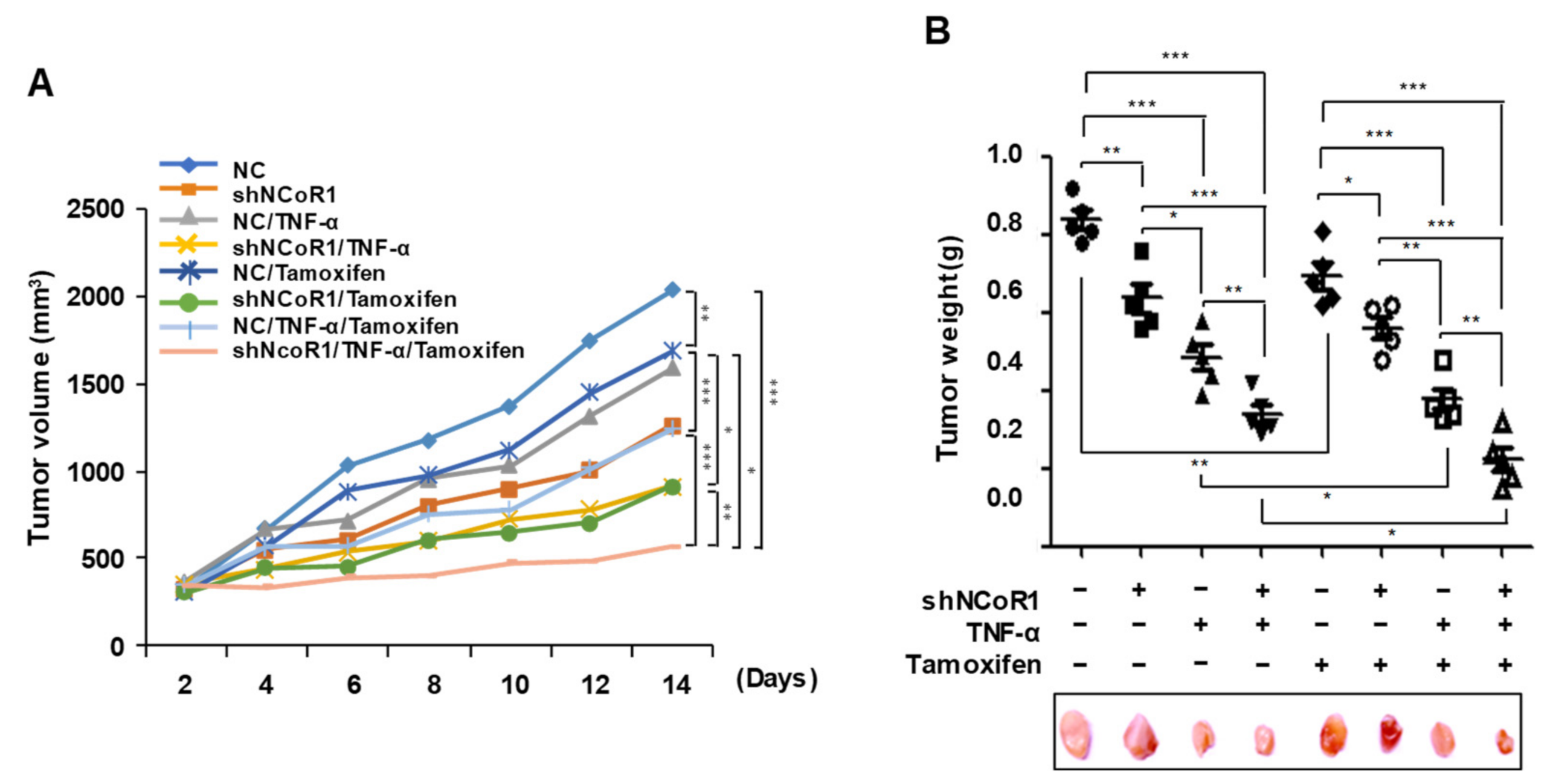 Cancers 13 02601 g005