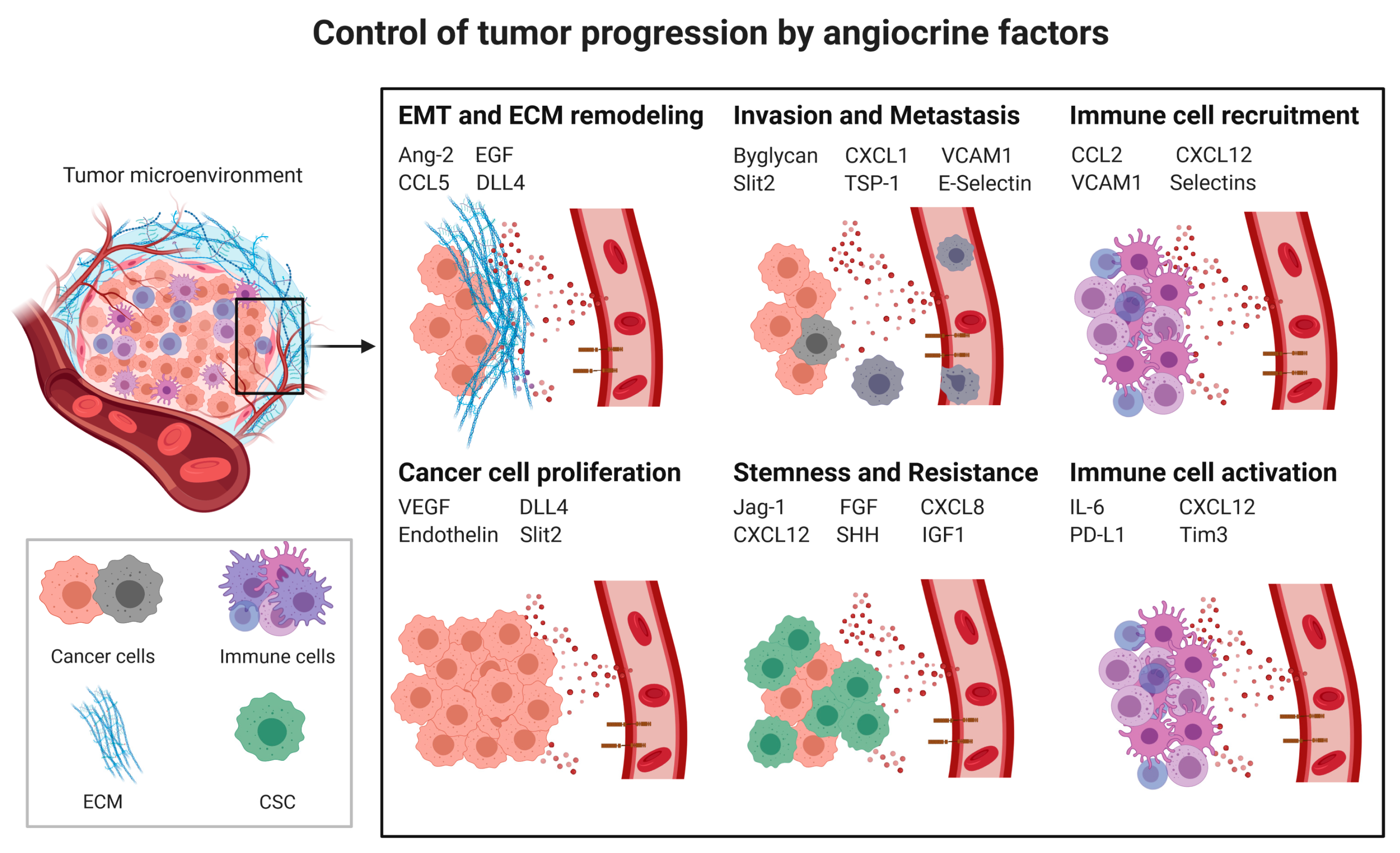 Cancers 13 02610 g001