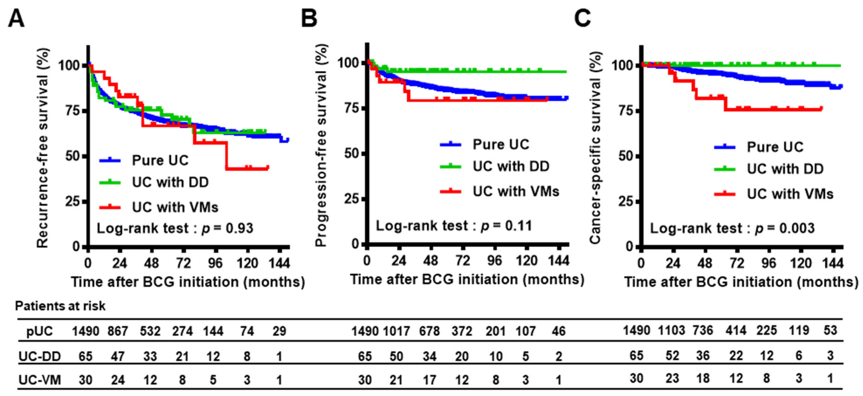 Cancers 13 02615 g003