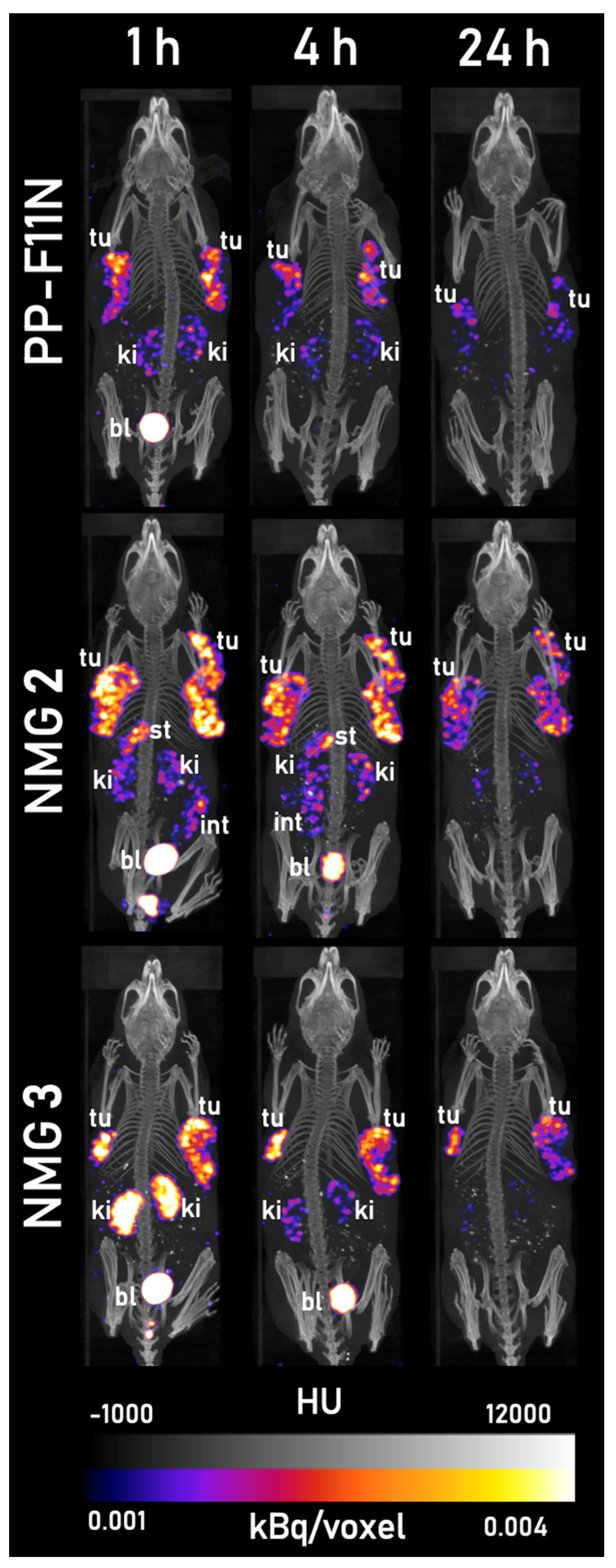 Cancers 13 02629 g005