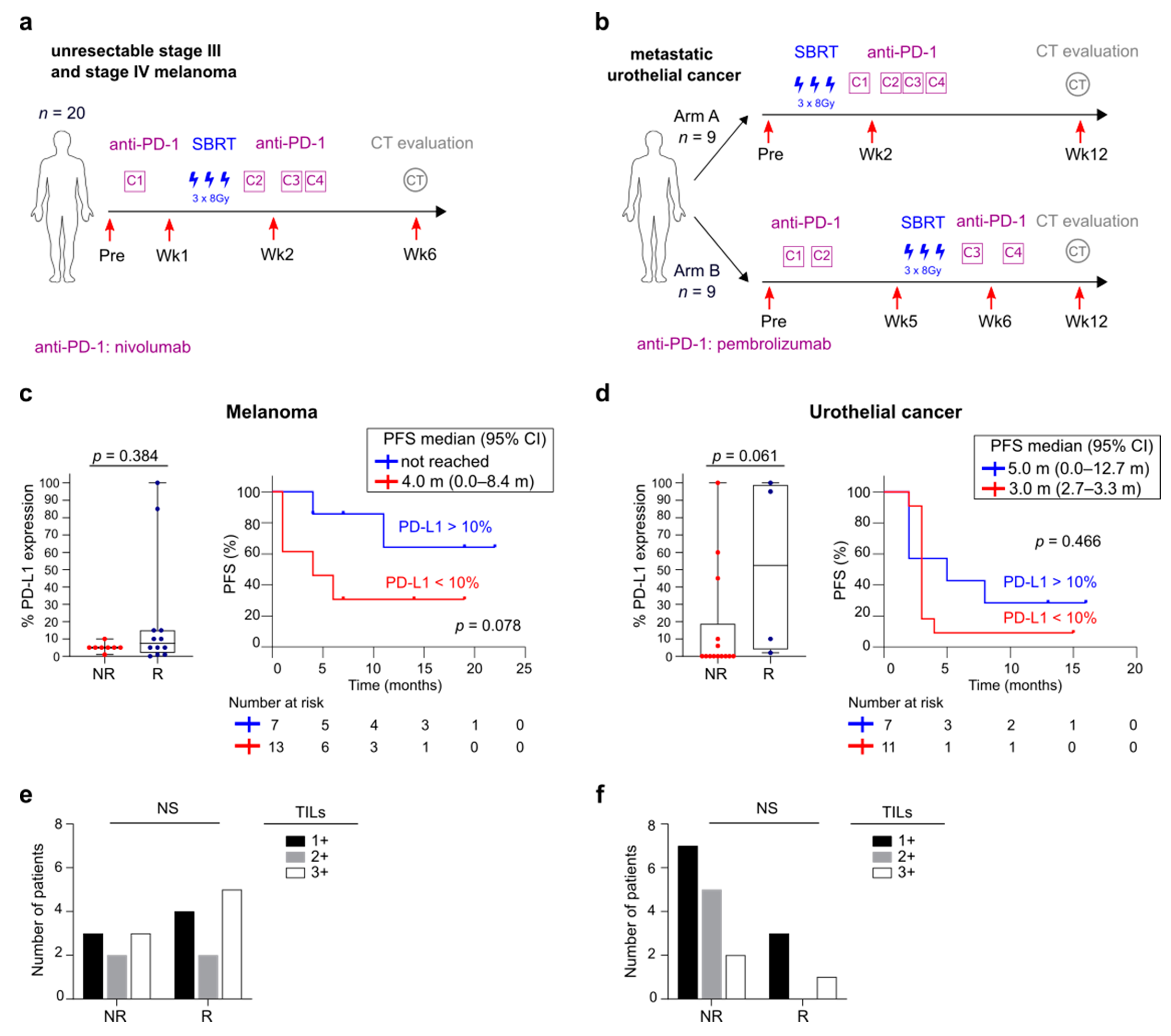 Cancers 13 02630 g001