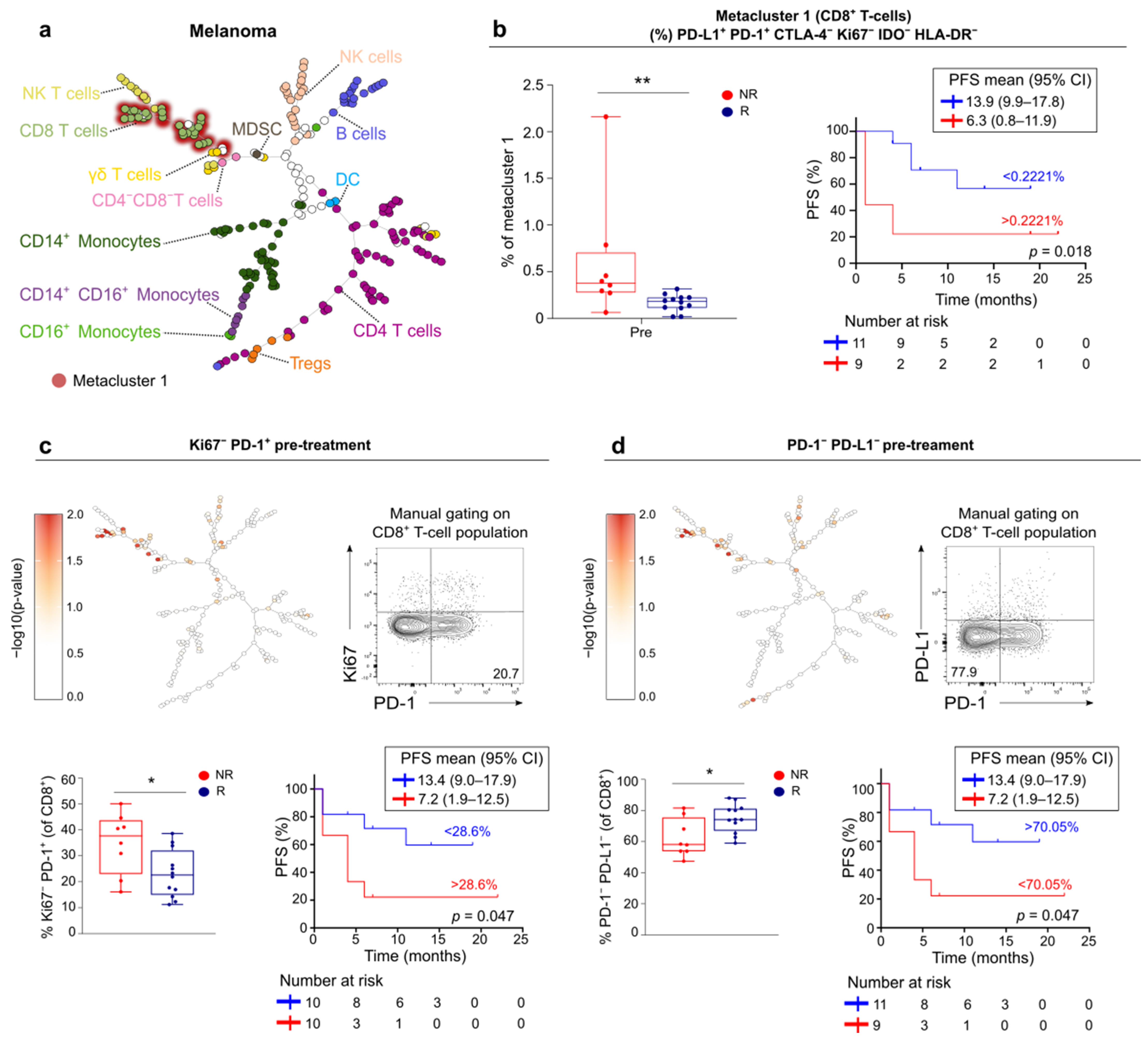 Cancers 13 02630 g004