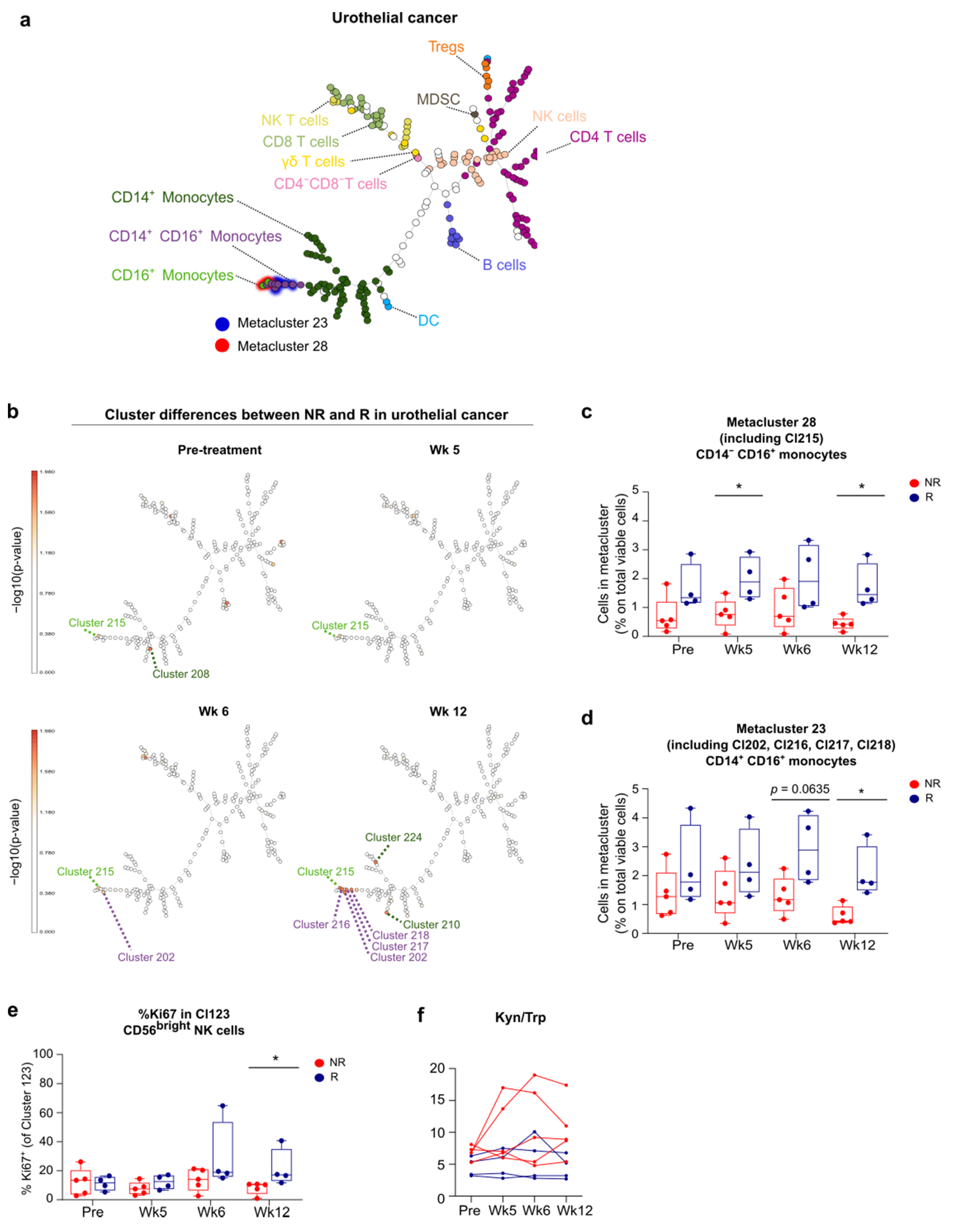 Cancers 13 02630 g006
