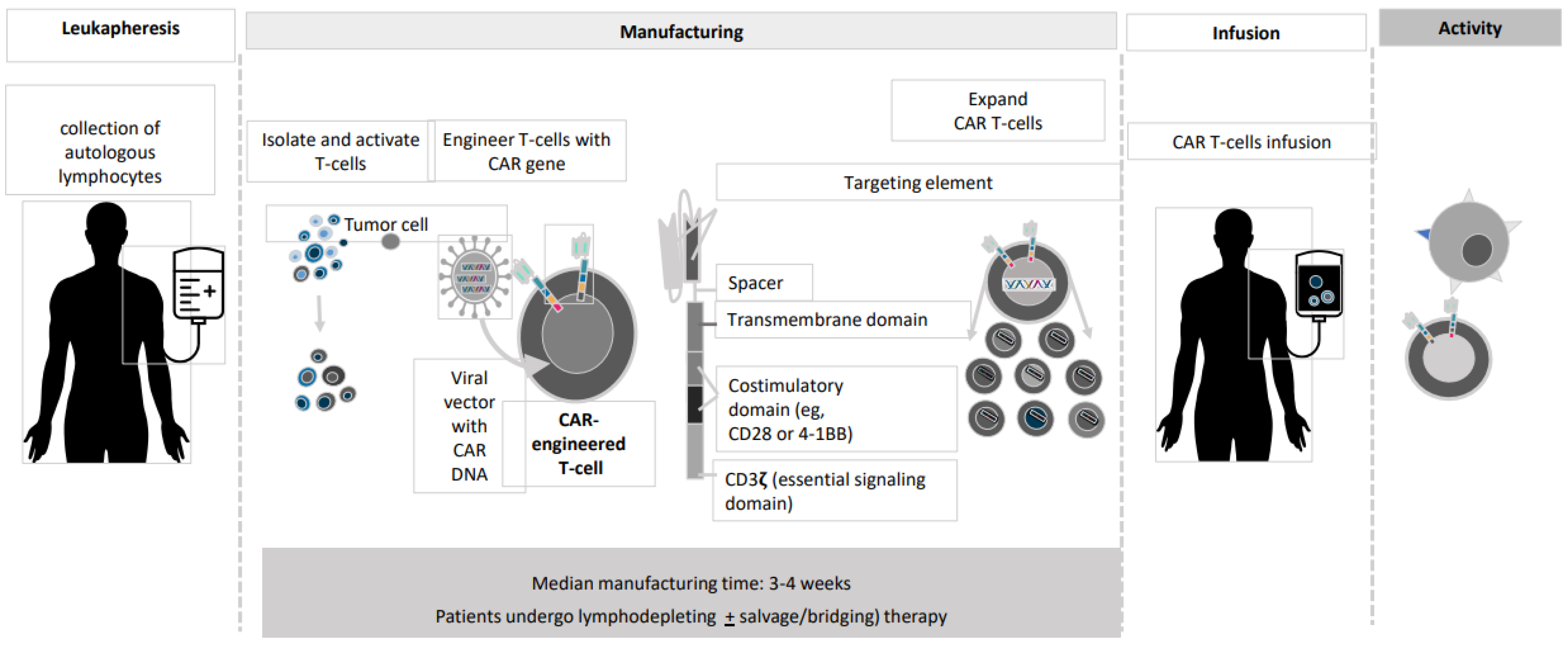 Cancers 13 02639 g001
