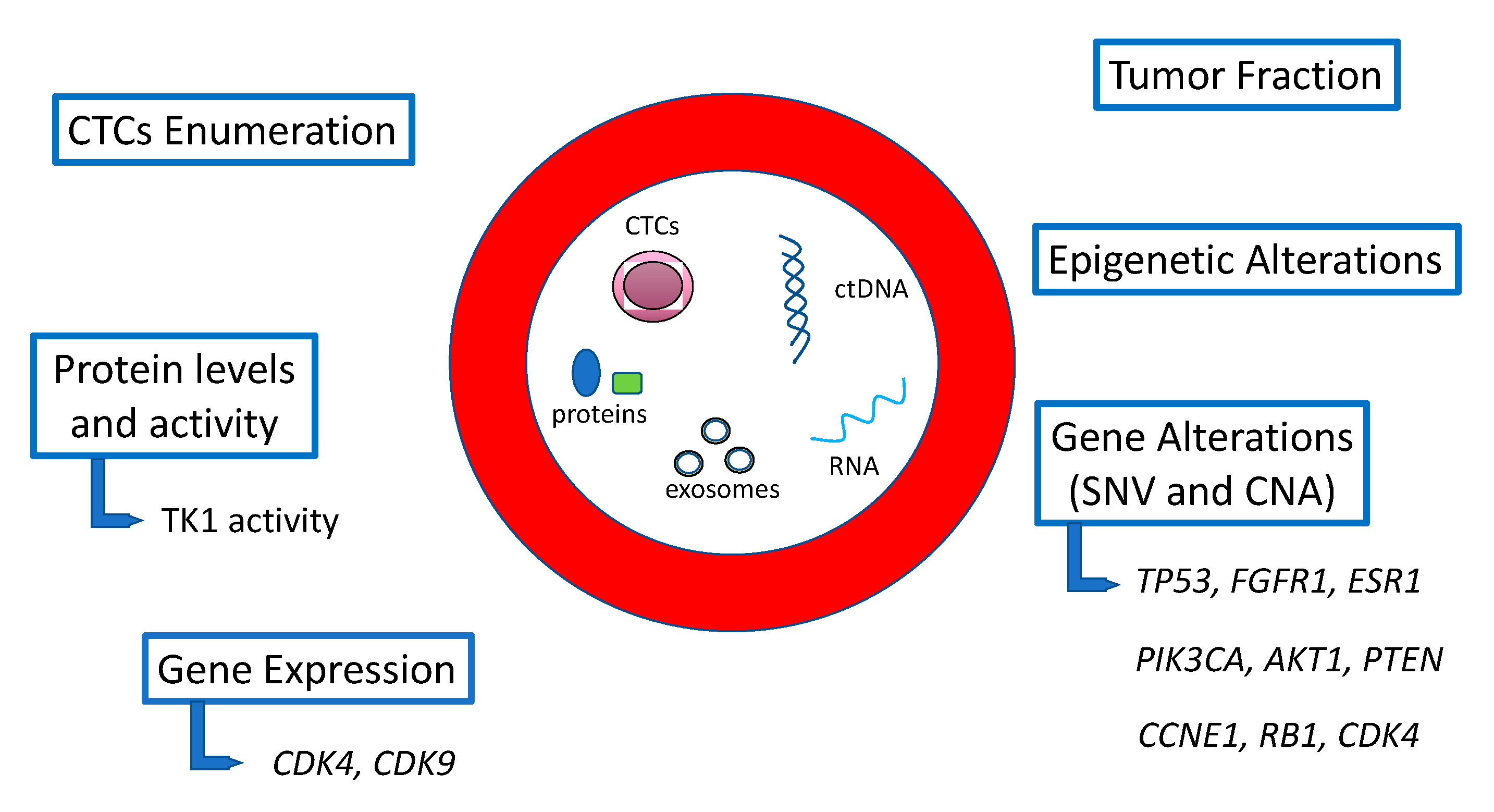 Cancers 13 02640 g001
